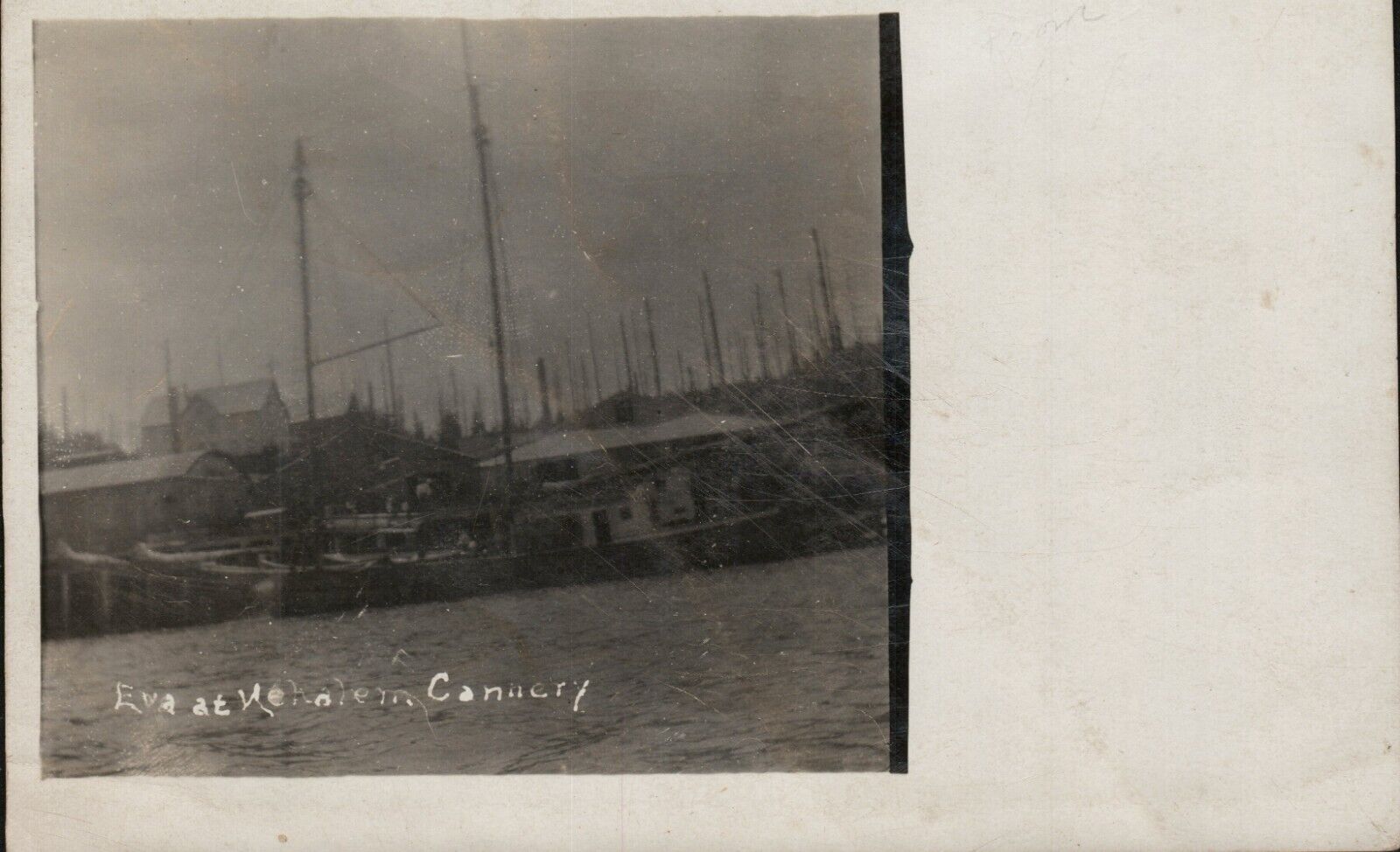 Eva at Nehalem Cannery Oregon Postcard Pmk 1908