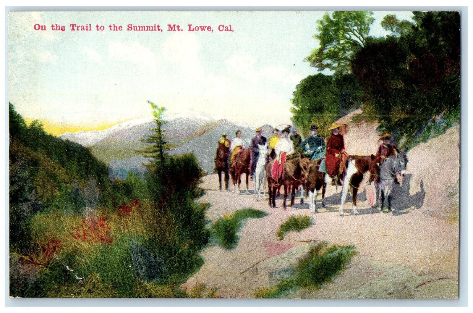 c1910 On The Trail to the Summit Mt. Lowe California CA Antique Postcard