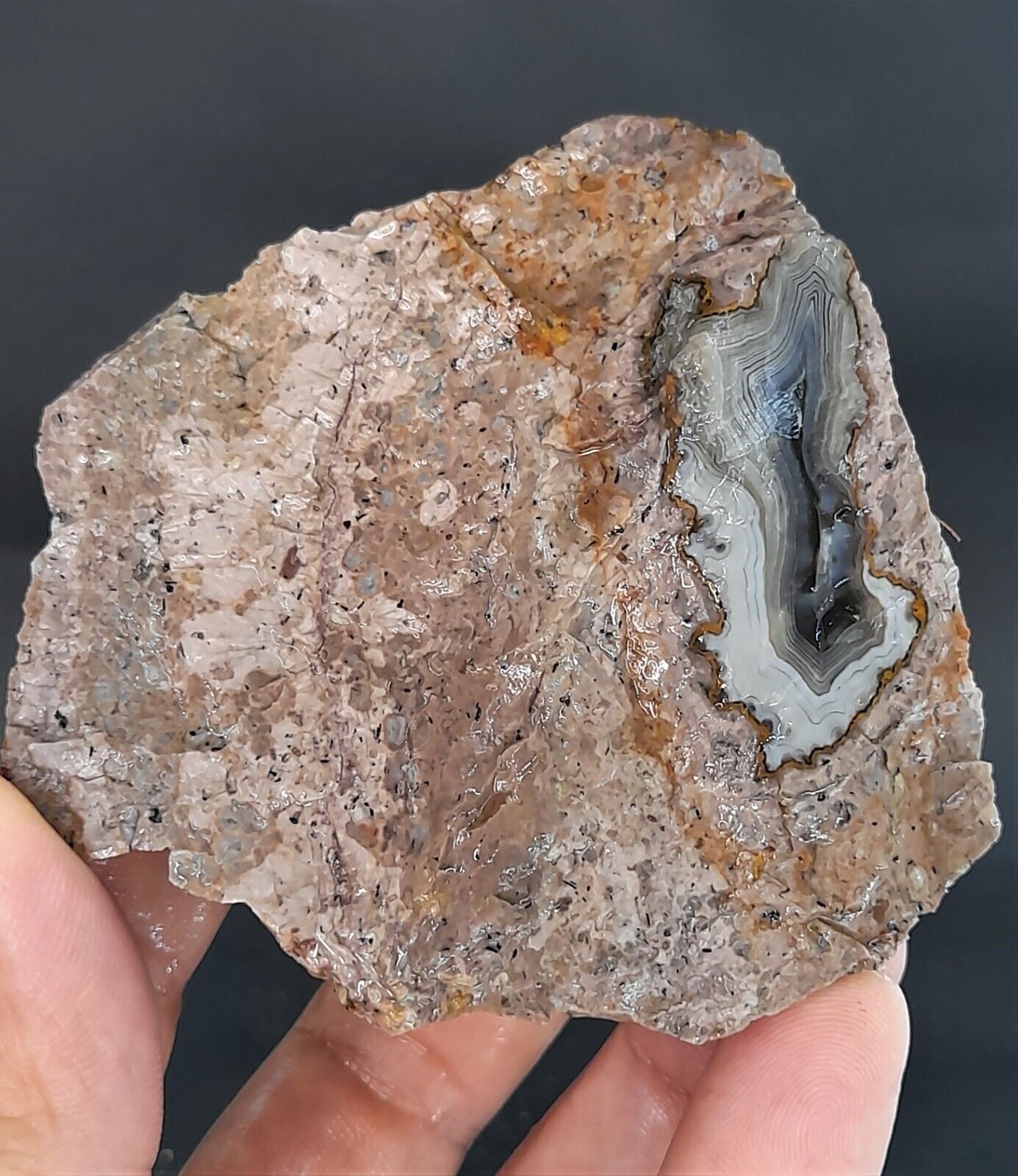 255g/0.56 lb turkish uncut thunderegg agate stone rough, collectible, gemstone