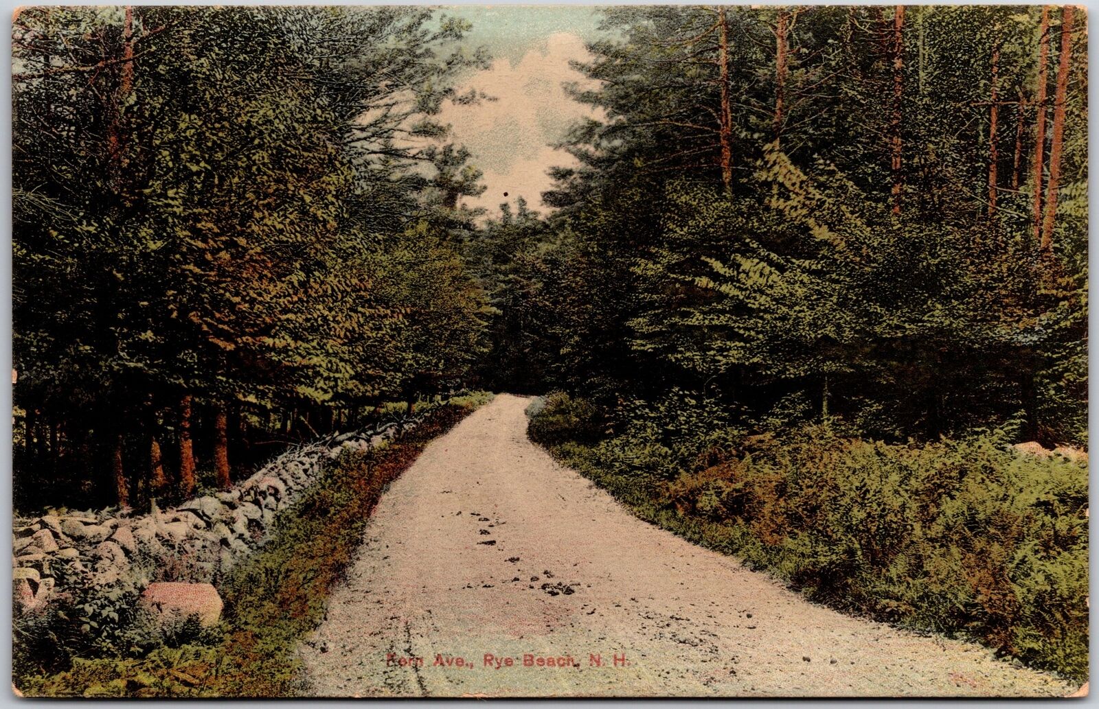 Korn Avenue Rye Beach New Hampshire NH Trails Pathways Forest Trees Postcard