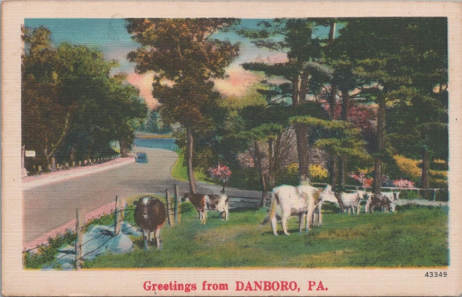 Postcard Greetings from Danbury PA 