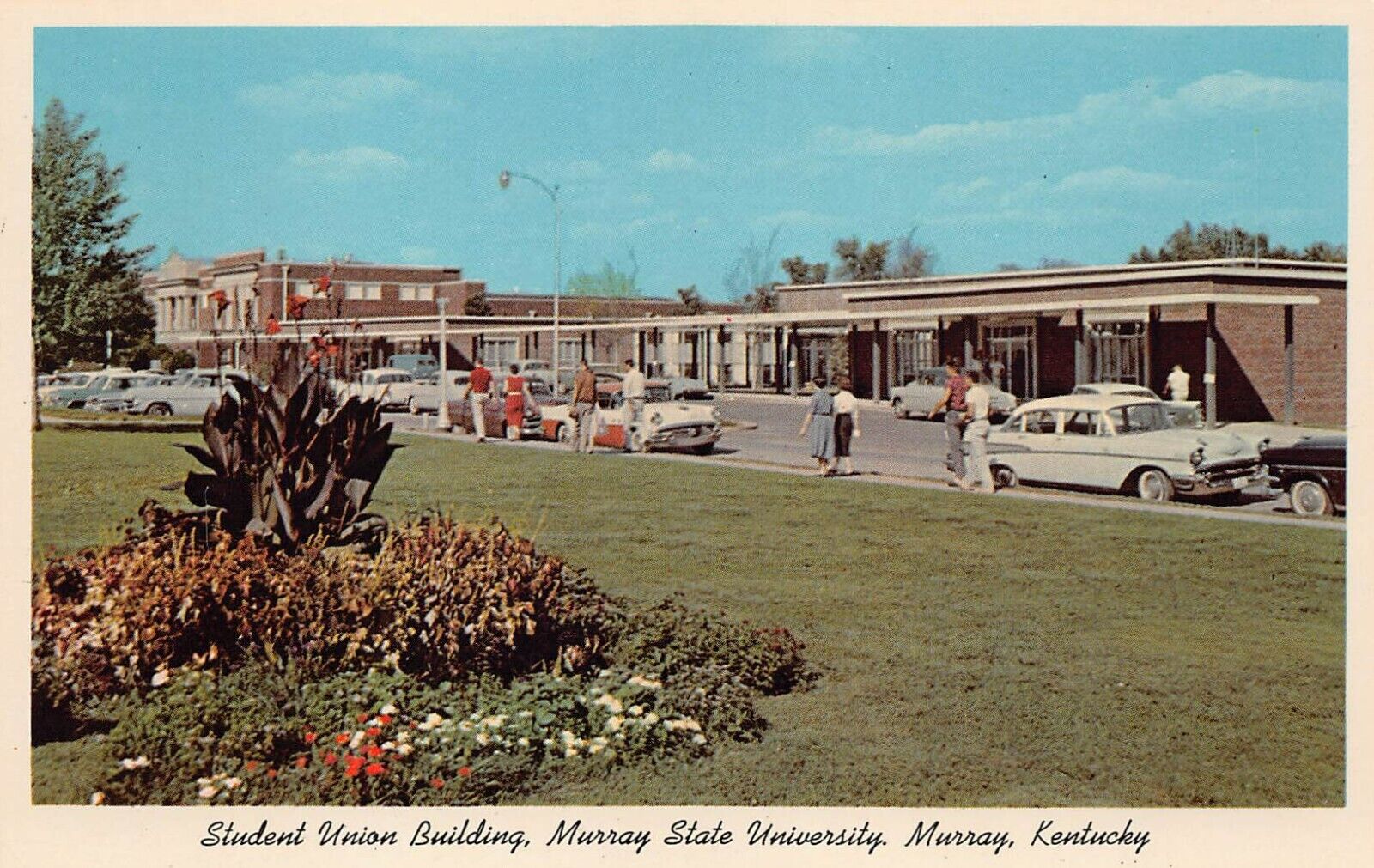 Murray Kentucky State University Student Union Building Campus Vtg Postcard S9