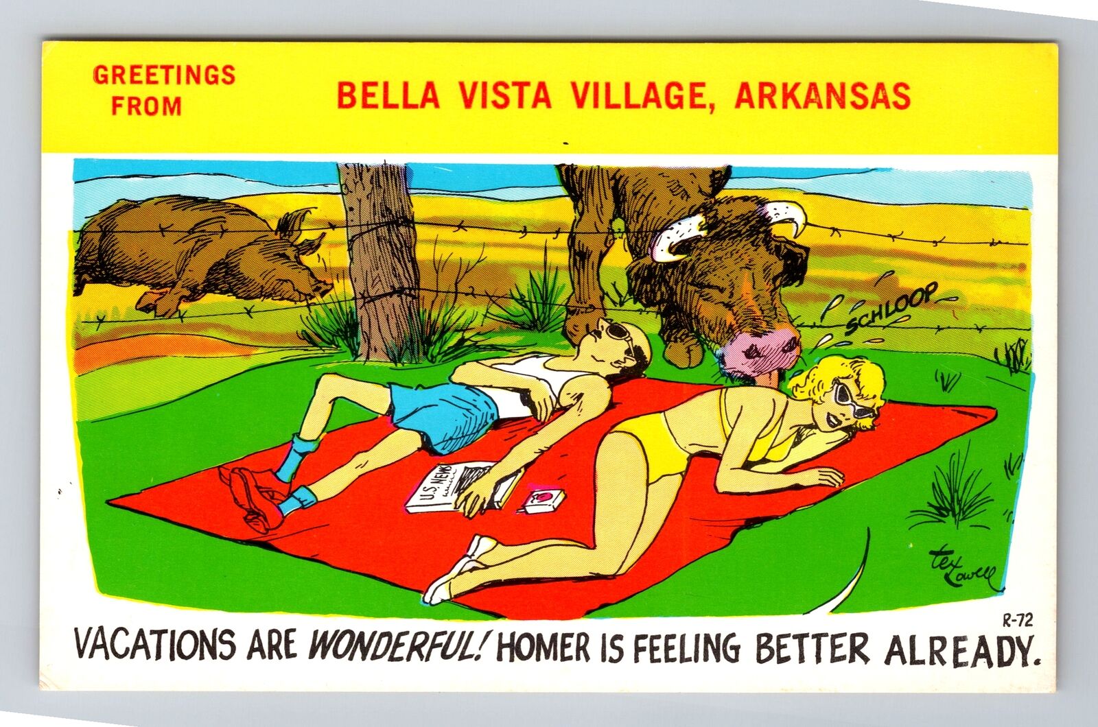 Bella Vista Village AR-Arkansas, Couple Laying On Blanket, Vintage Postcard