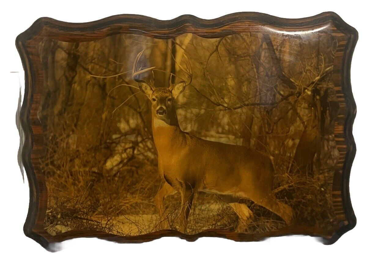 VINTAGE WOODEN WHITETAIL BUCK DEER WALL DECOR 22x16 CABIN HUNTING OUTDOORS