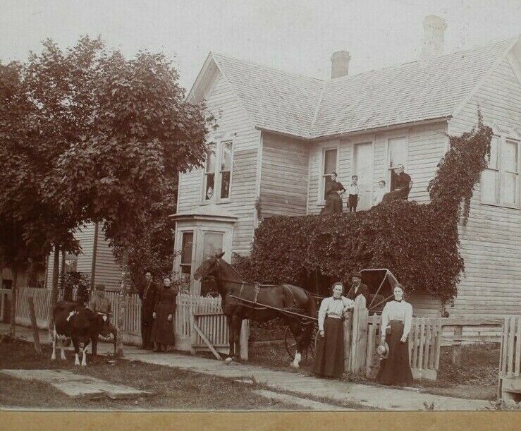 C.1900/10s ID Gribbens Family Photo Outdoor Cow On Sidewalk Horse & Buggy C25