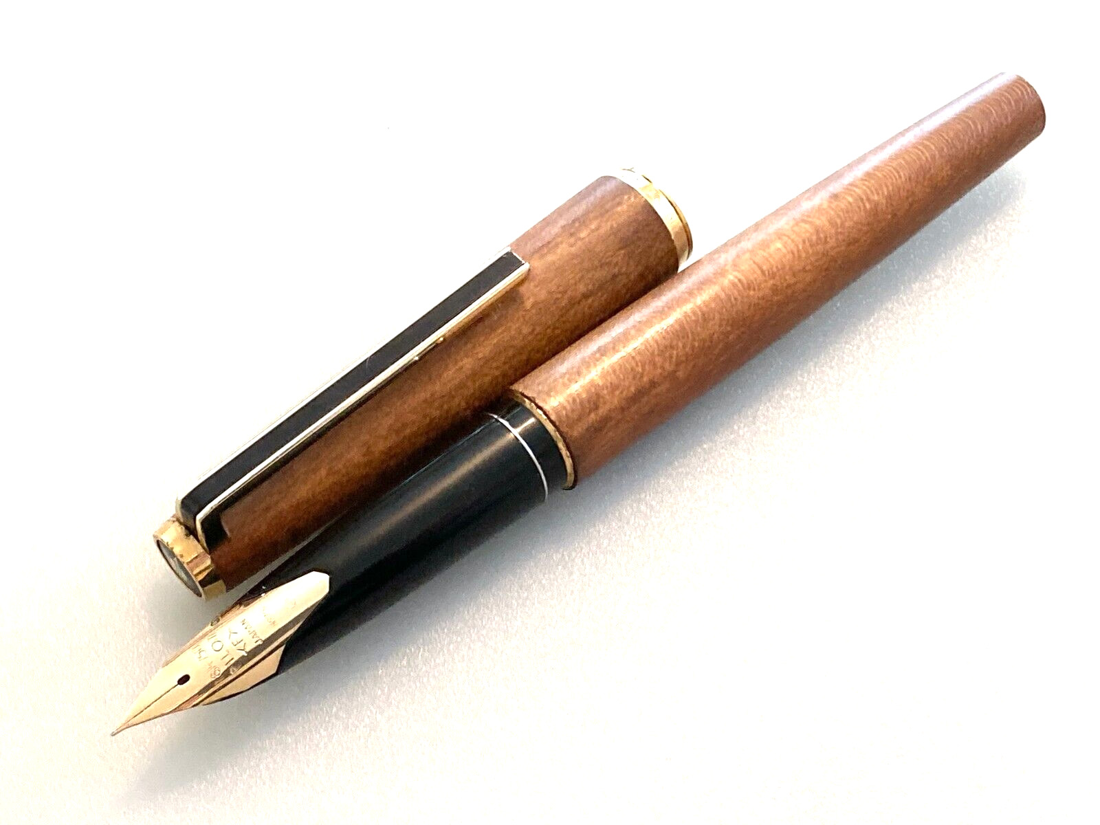 Pilot Custom  18K-750  F  H975 1975 made  Maple axis  inside cleaning