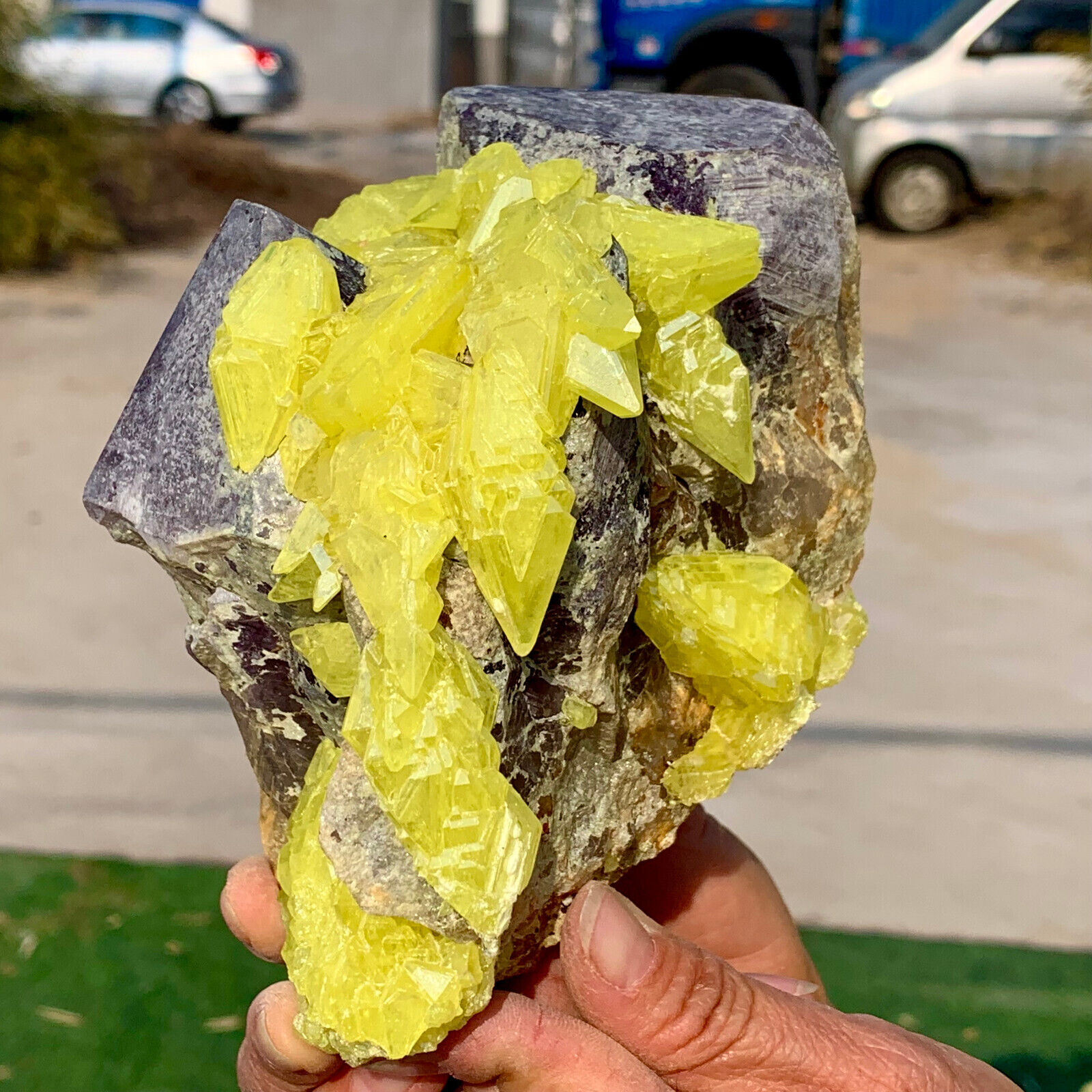 3LB Minerals ** LARGE NATIVE SULPHUR OnMATRIX Sicily With+amethyst Crystal