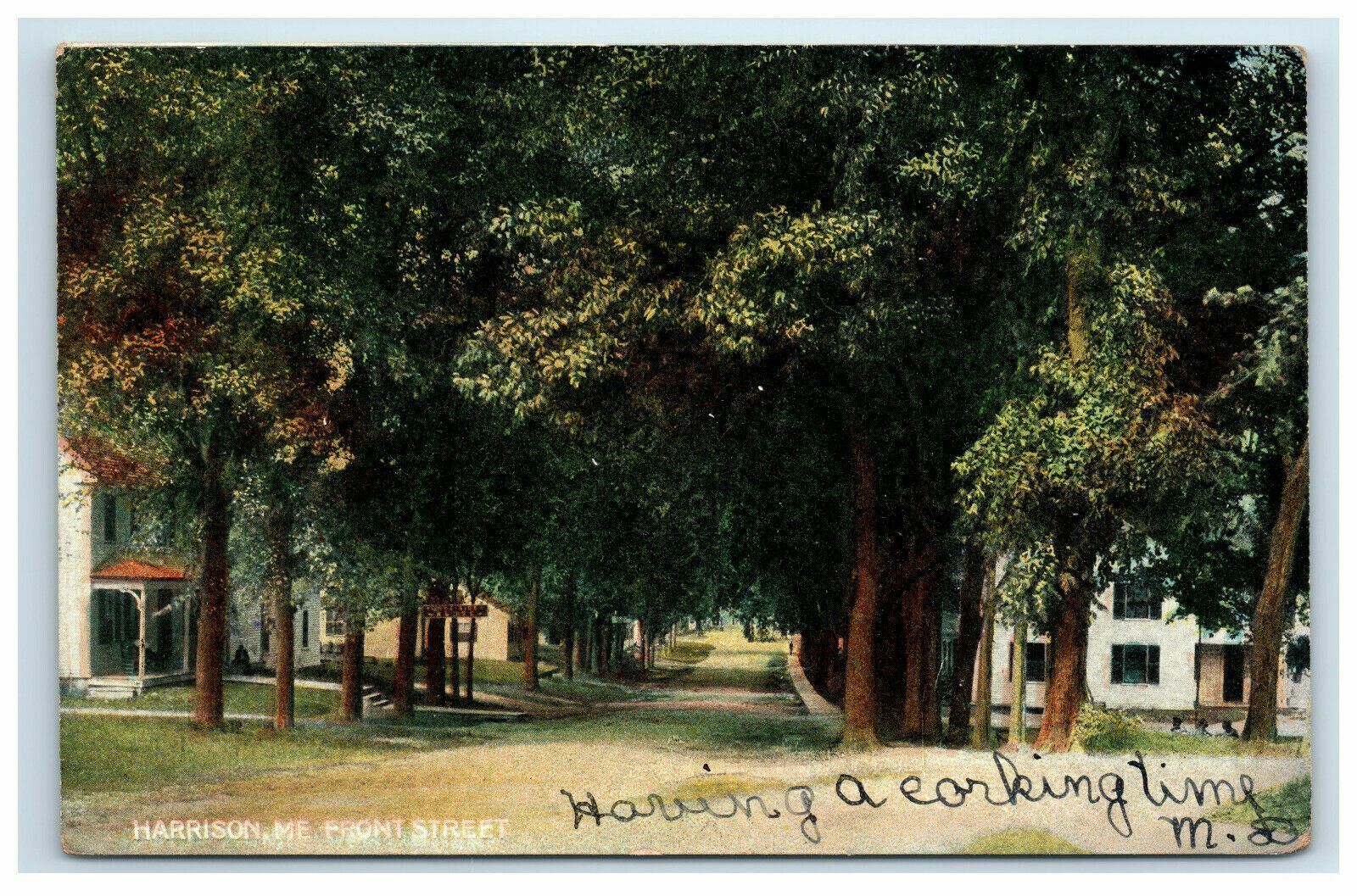 c. 1907 Harrison ME Front Street Scene Postcard 