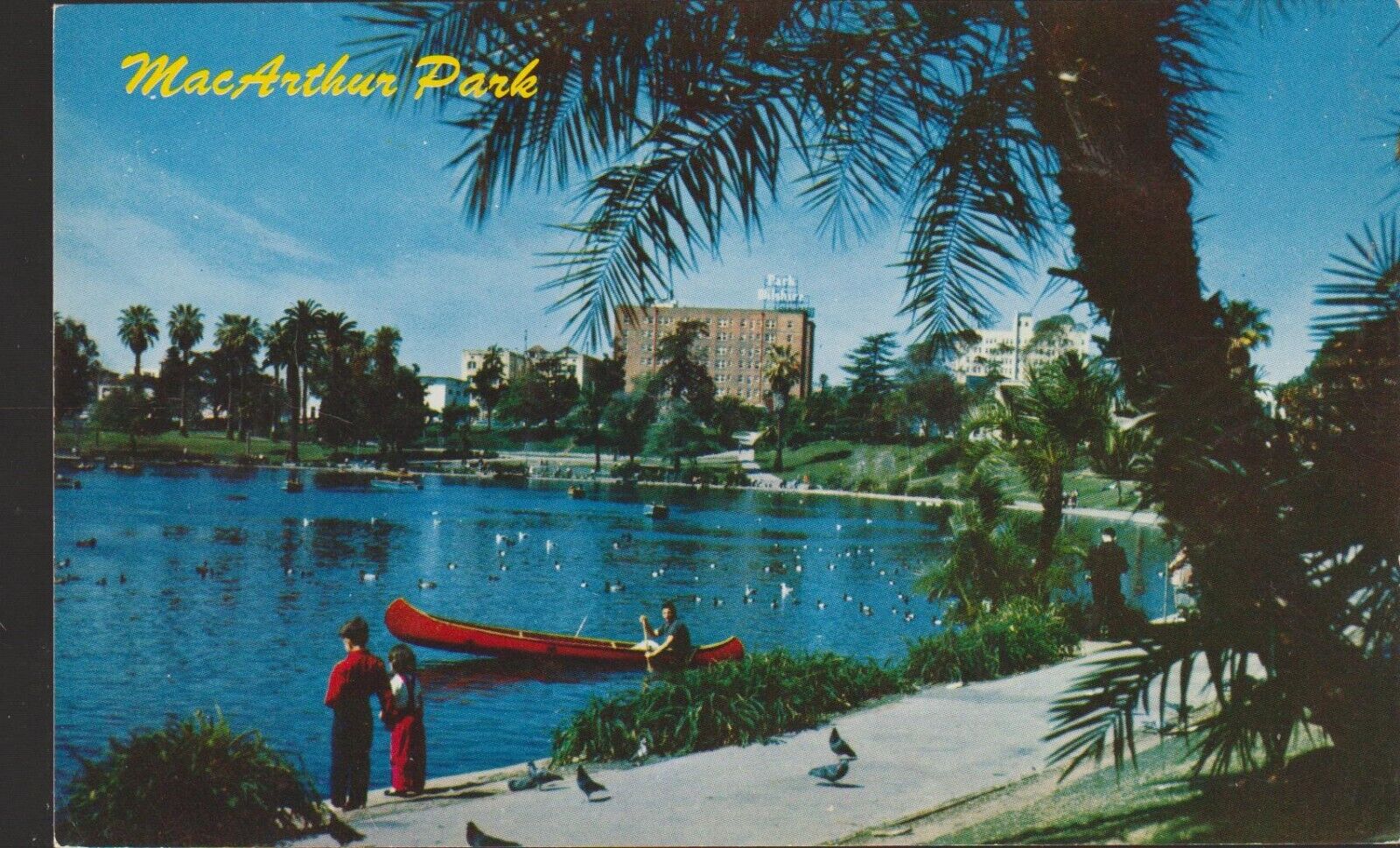 Los Angeles California MacArthur Park Lake UNP Chrome Postcard