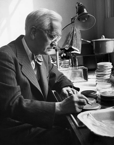 Sir Alexander Fleming co discoverer Penicillin shown here labo- 1920 Old Photo