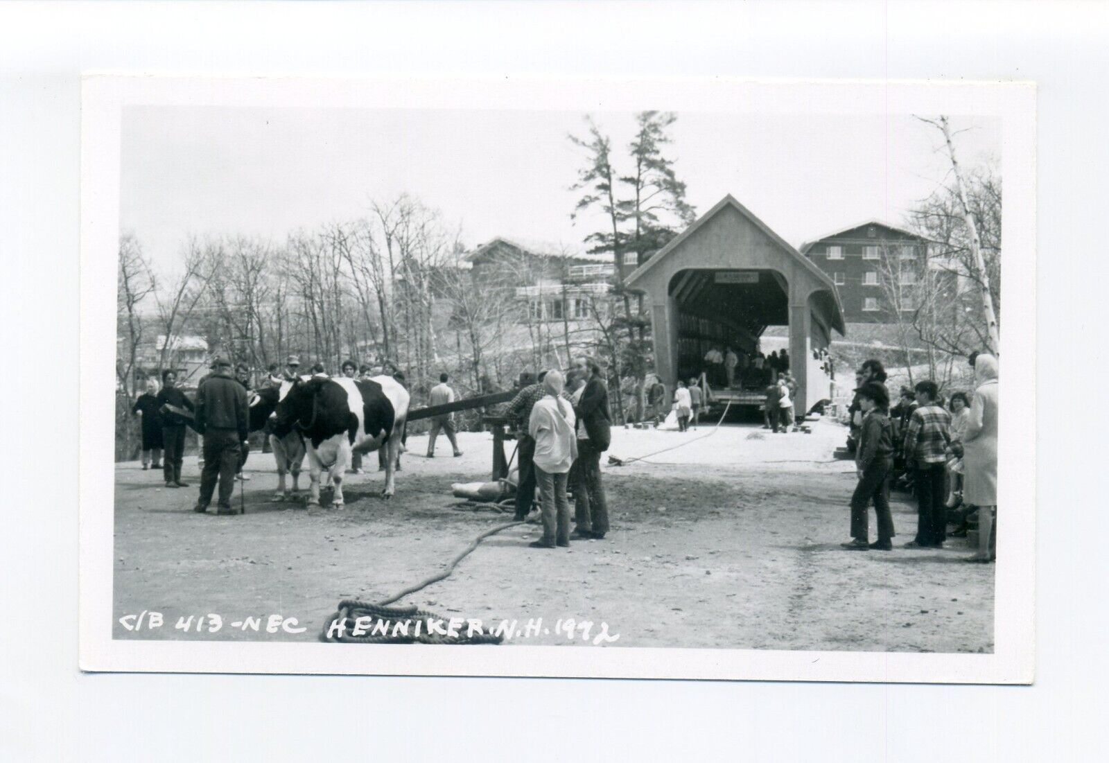 Henniker NH 1972 RPPC photo postcard, team of oxen, people, covered bridge