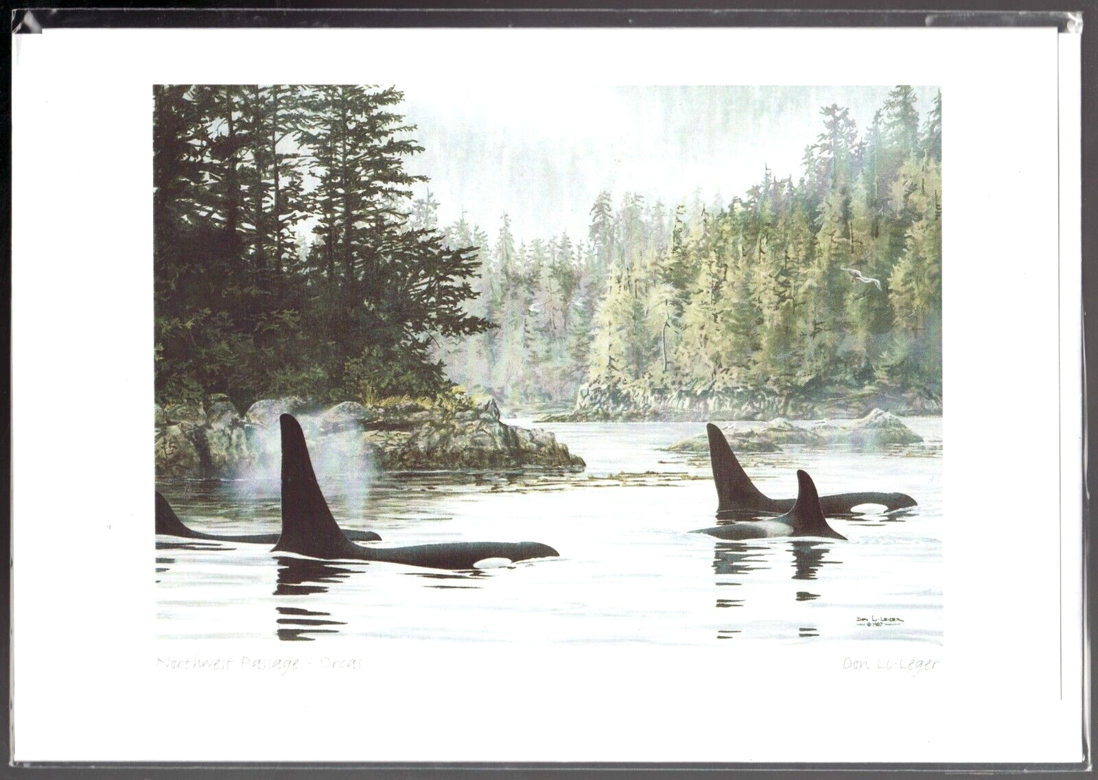 NORTHWEST PASSAGE - ORCA'S  KILLER WHALES by Don Li-Leger - New 6