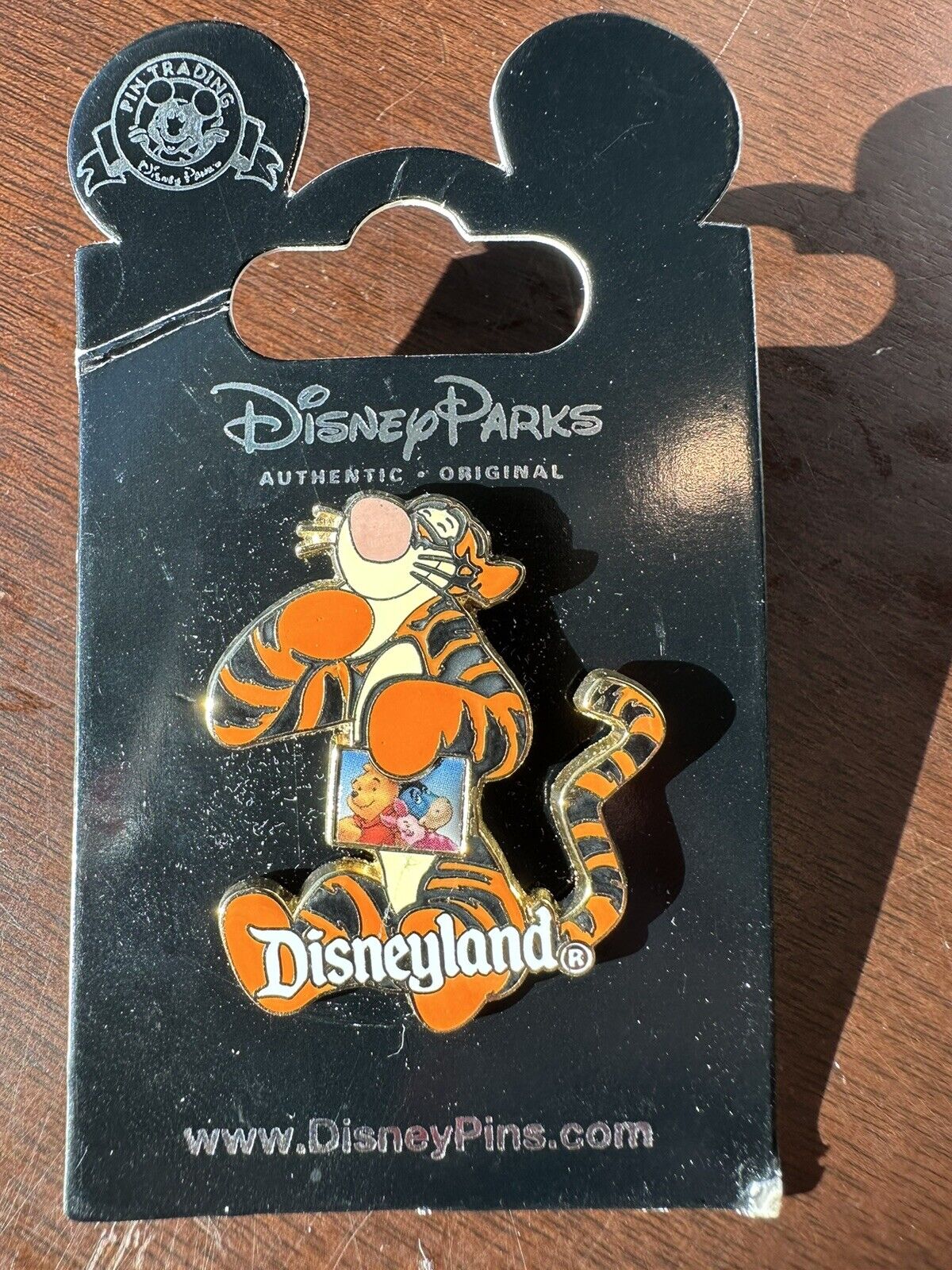 2002 Disney Parks Pin, Tigger Holding Photo Disneyland Winnie The Pooh & Friends