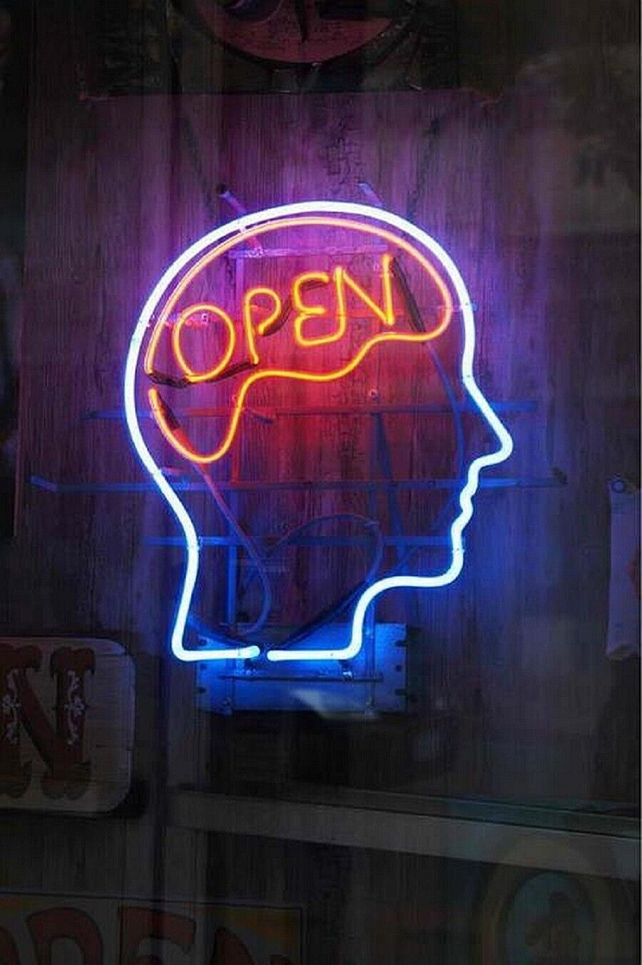 Open Mind Brain Light 24