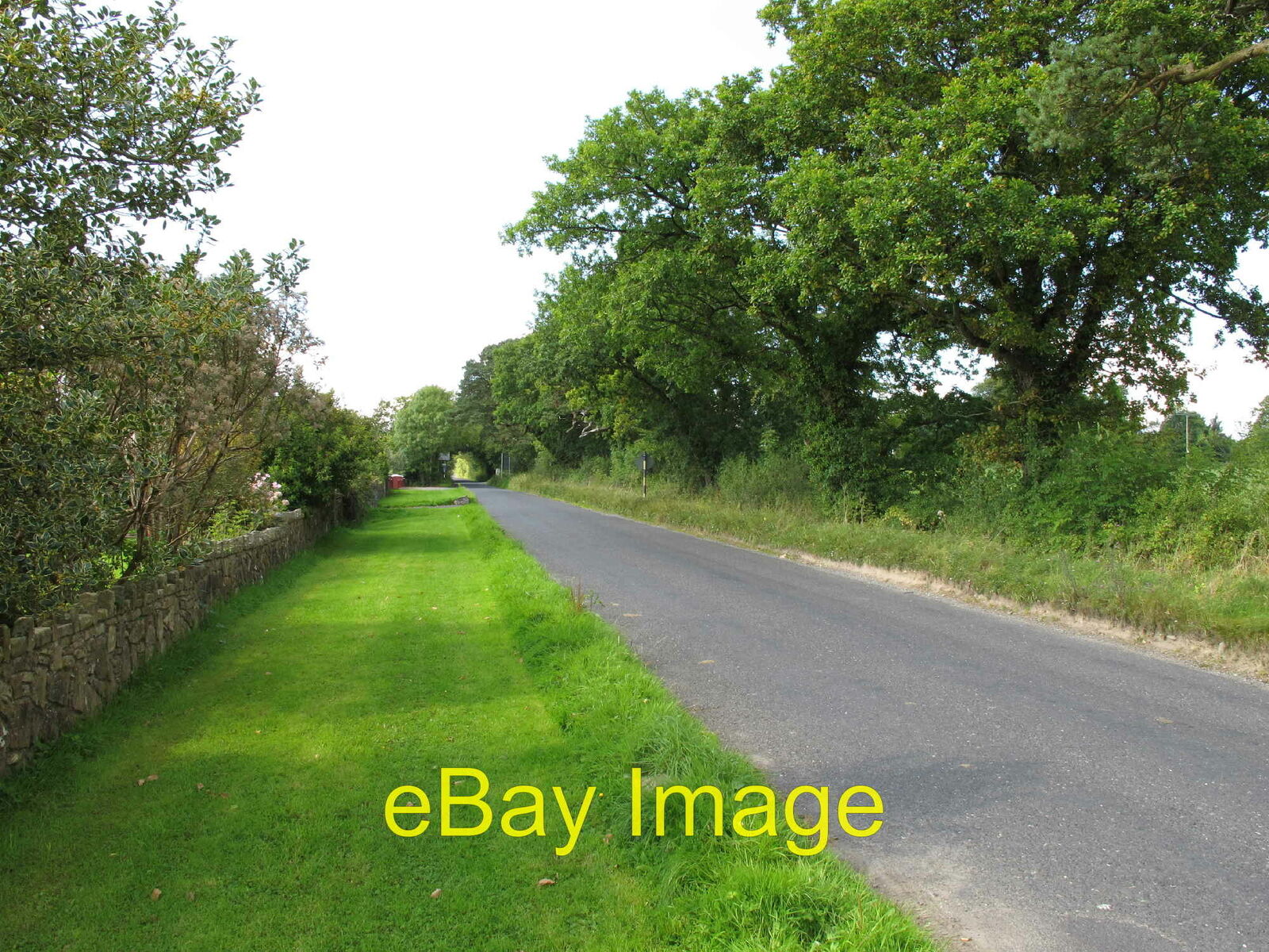 Photo 12x8 Road - R471 to Sixmilebridge View from Junction with R463. c2010
