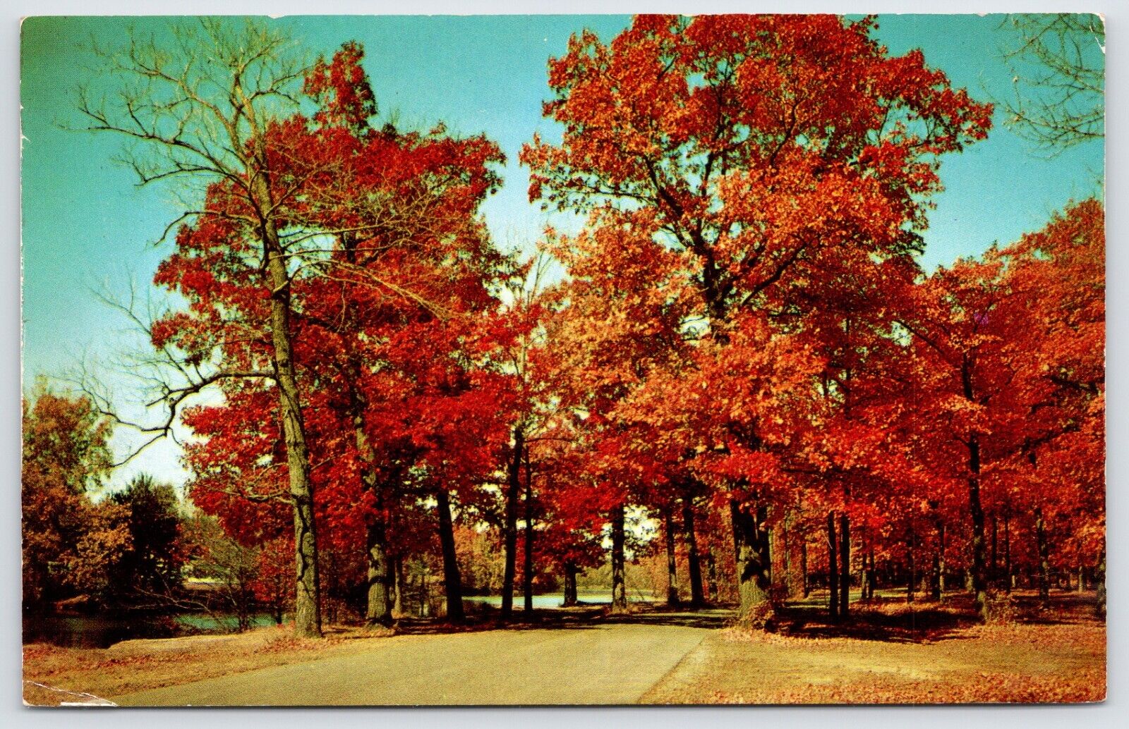 Postcard Beautiful Autumn Landscape Posted 1956