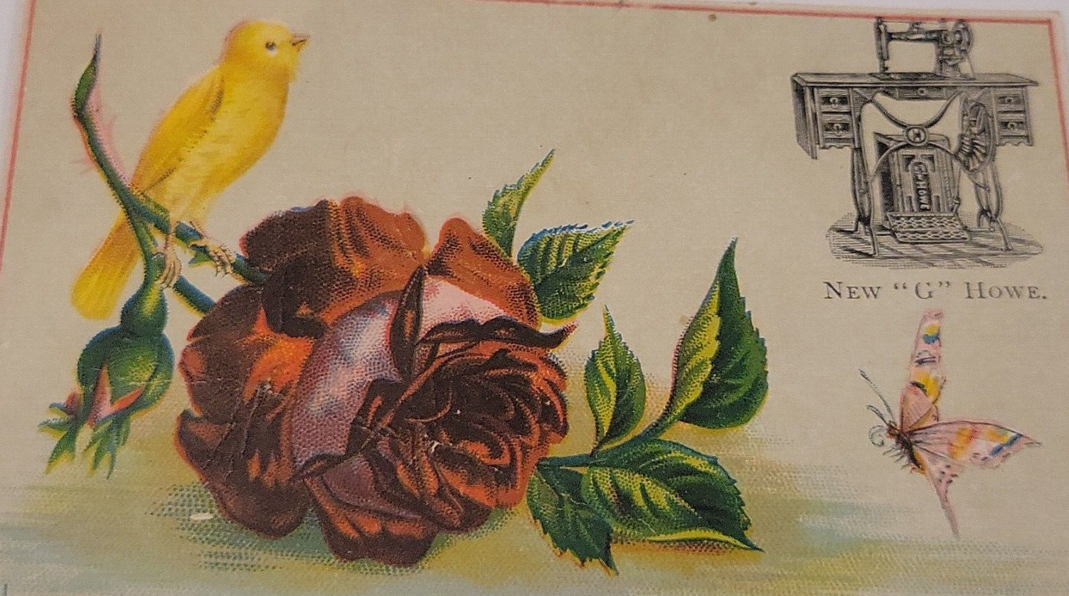 New Howe Sewing Machine G Butterfly Canary Rose 501 Victorian Trade Card 