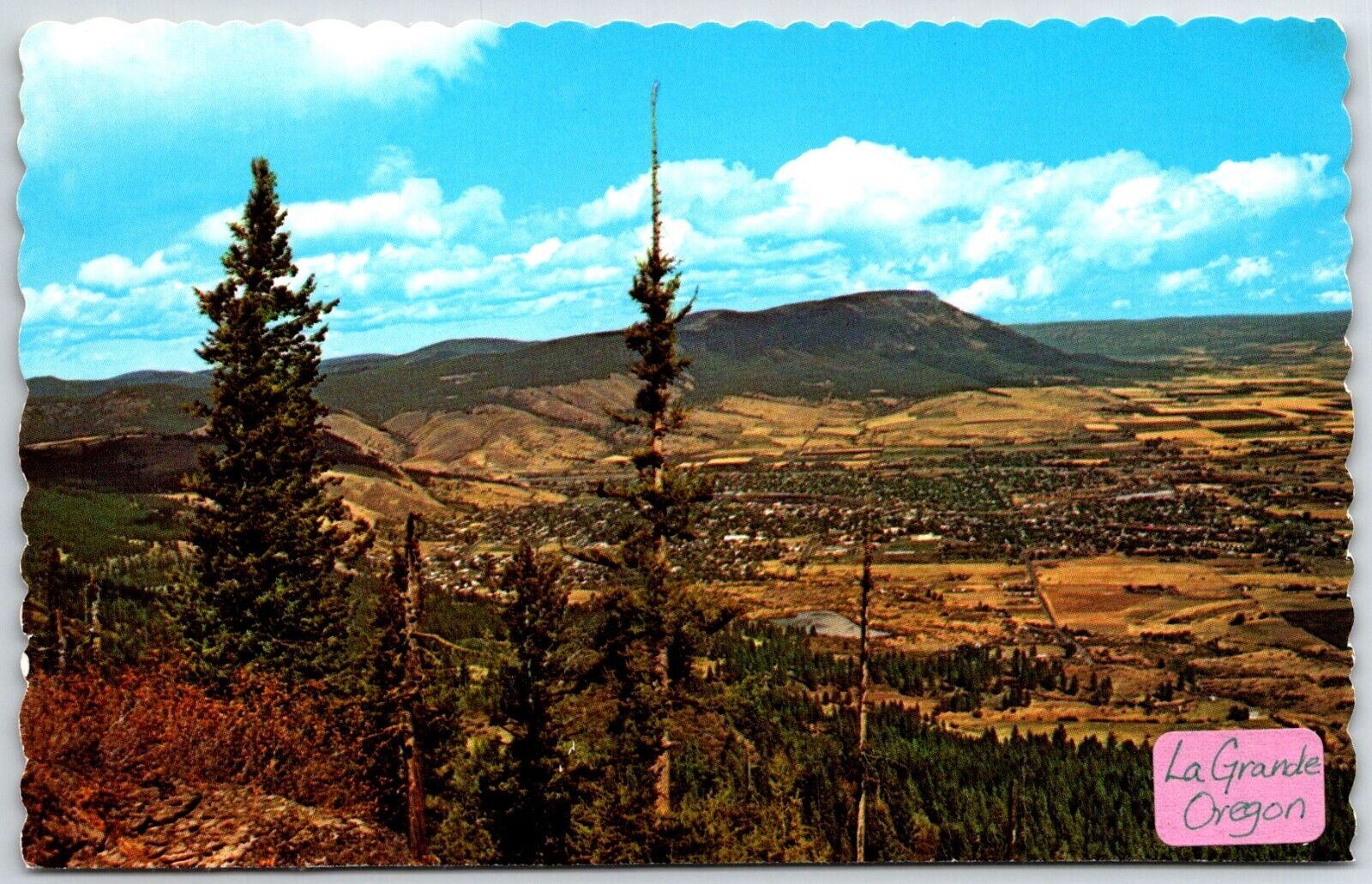 Postcard Aerial View of Forest in La Grande, Oregon, OR
