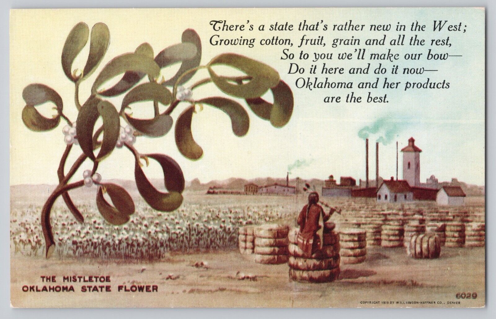 Oklahoma Agricultural Ad Postcard 1908 Growing Cotton Fruit Grain Mistletoe