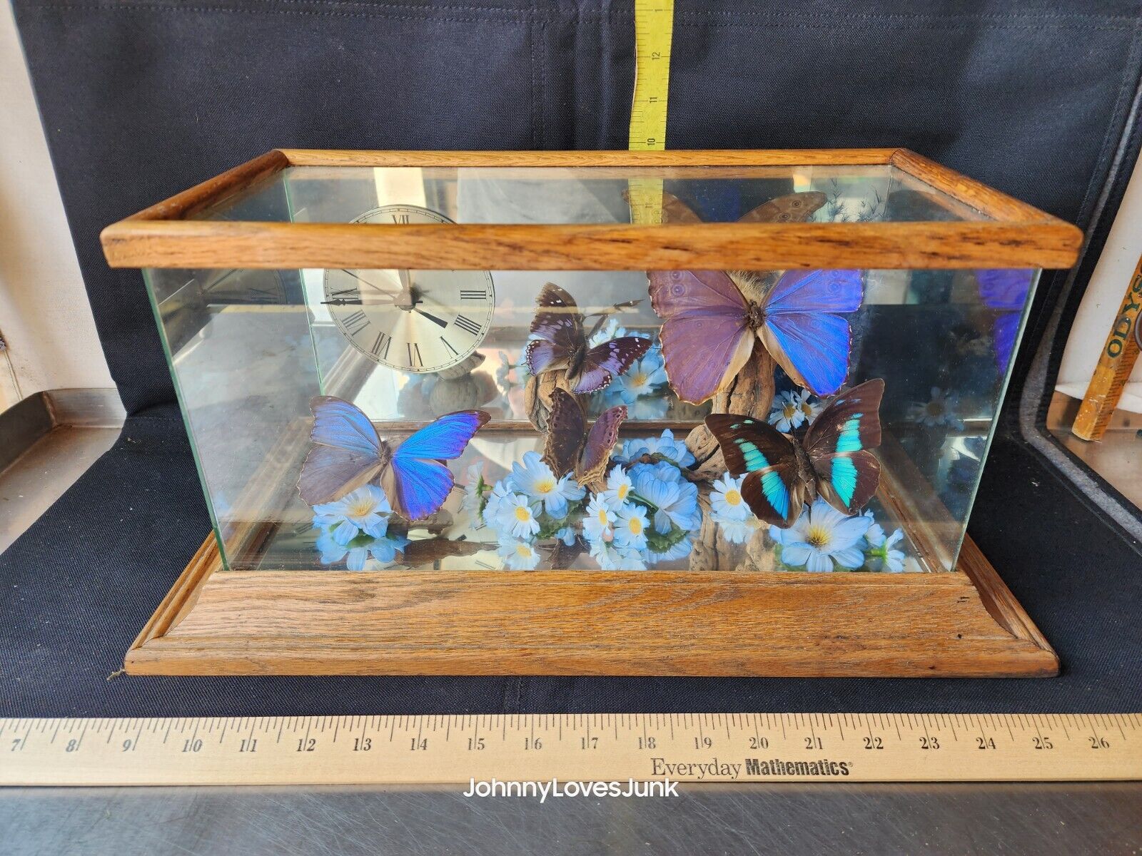 Vintage Lot Of 5 Real Mounted Taxidermy Butterflies In Oak Glass Clock Display