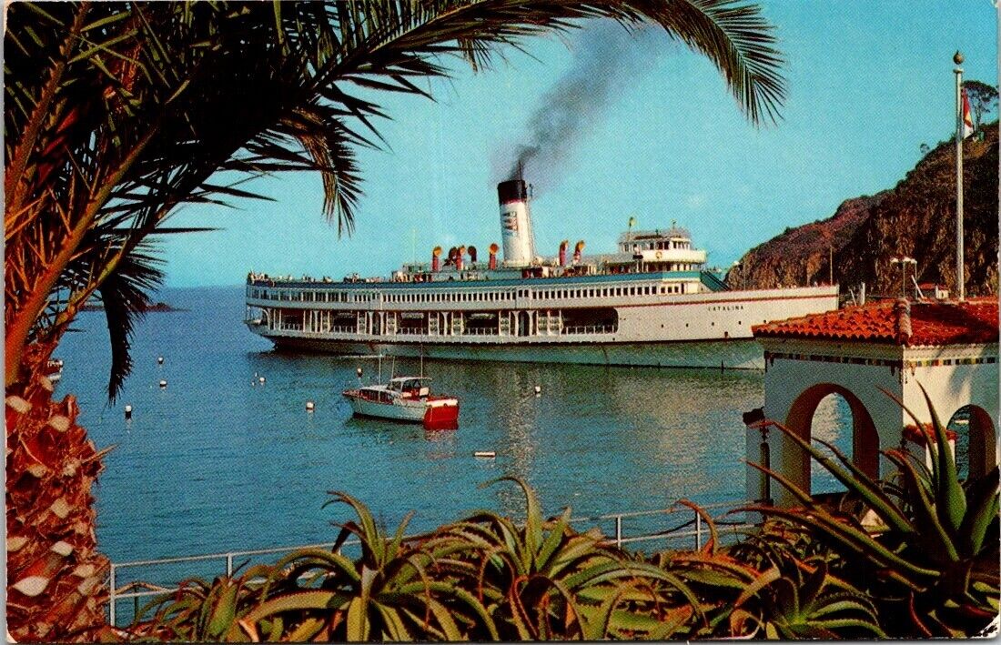Avalon CA California Ship S S Catalina Great White Steamer Vintage Postcard