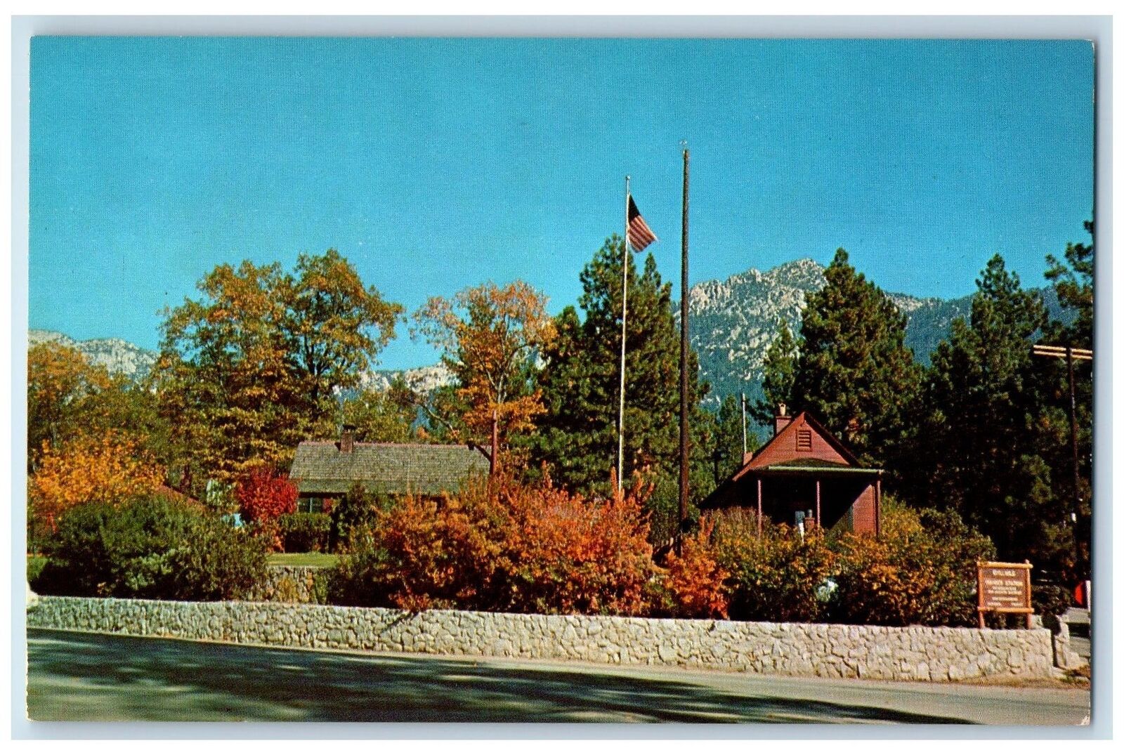 c1960s U.S. Forest Headquarters Roadside Idyllwild California CA Trees Postcard