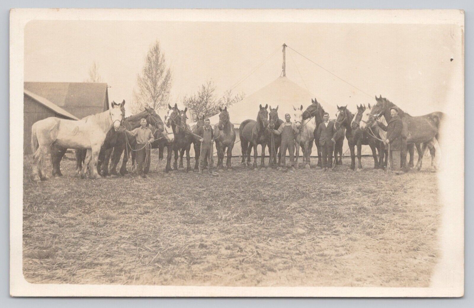 Real Photo Postcard Horse Ranch Men With Horses Vintage RPPC Unposted
