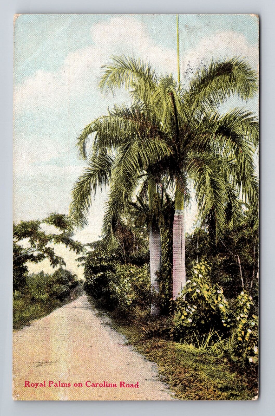 San Juan PR-Puerto Rico, Royal Palms On Carolina Road, Antique Vintage Postcard