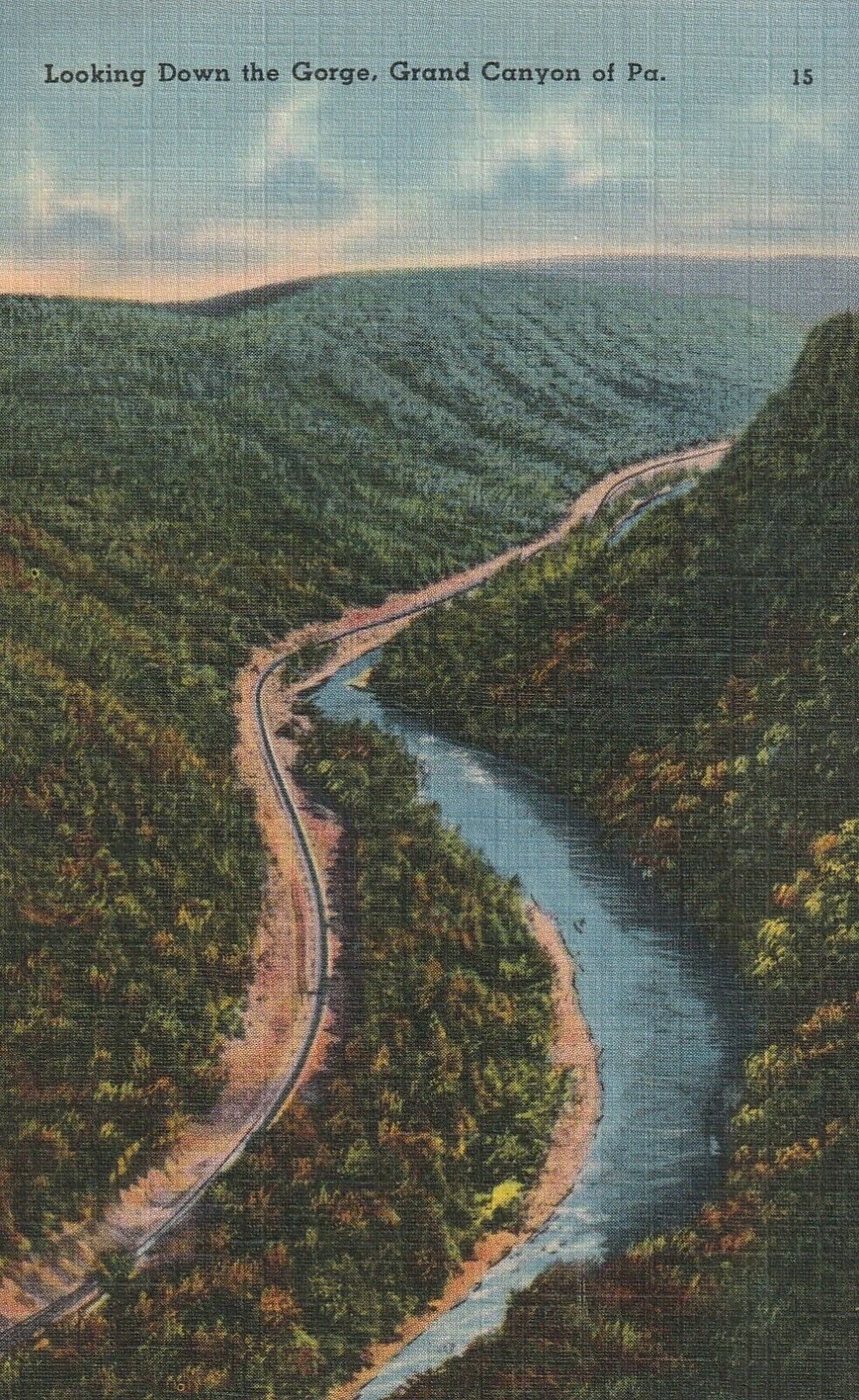 C1930s Looking  Down The Gorge, Grand Canyon of Pennsylvania, 1350