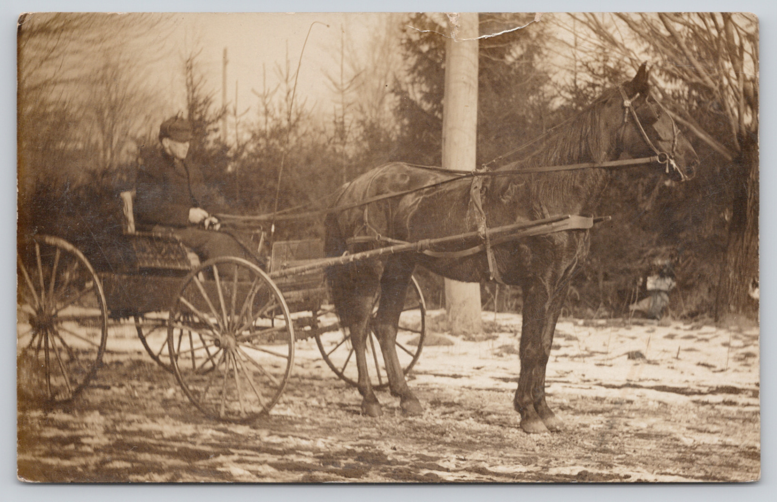RPPC Lenox, Michigan, 1909, Horse Drawn Carriage A1062