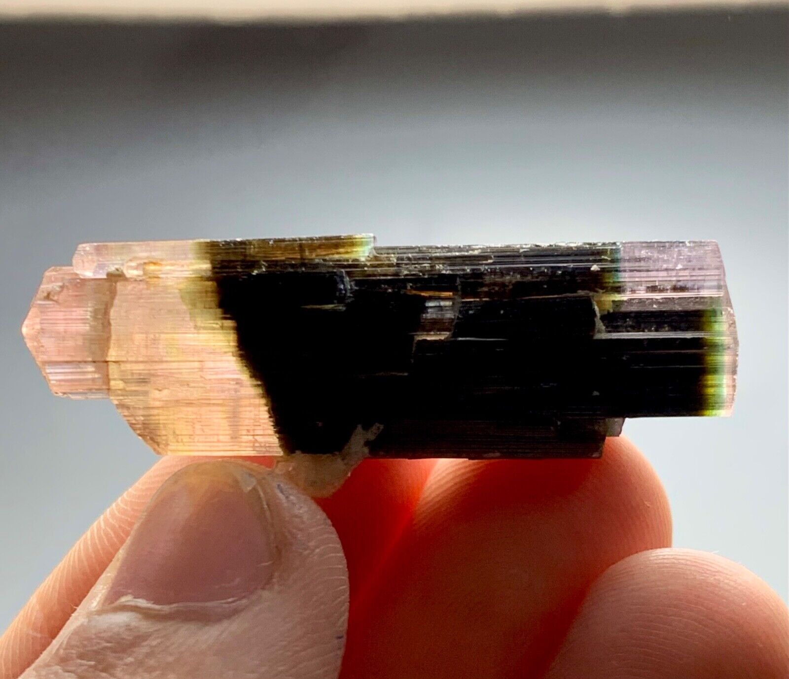 55 Carat Pink and Green Tourmaline crystal  from Afghanistan