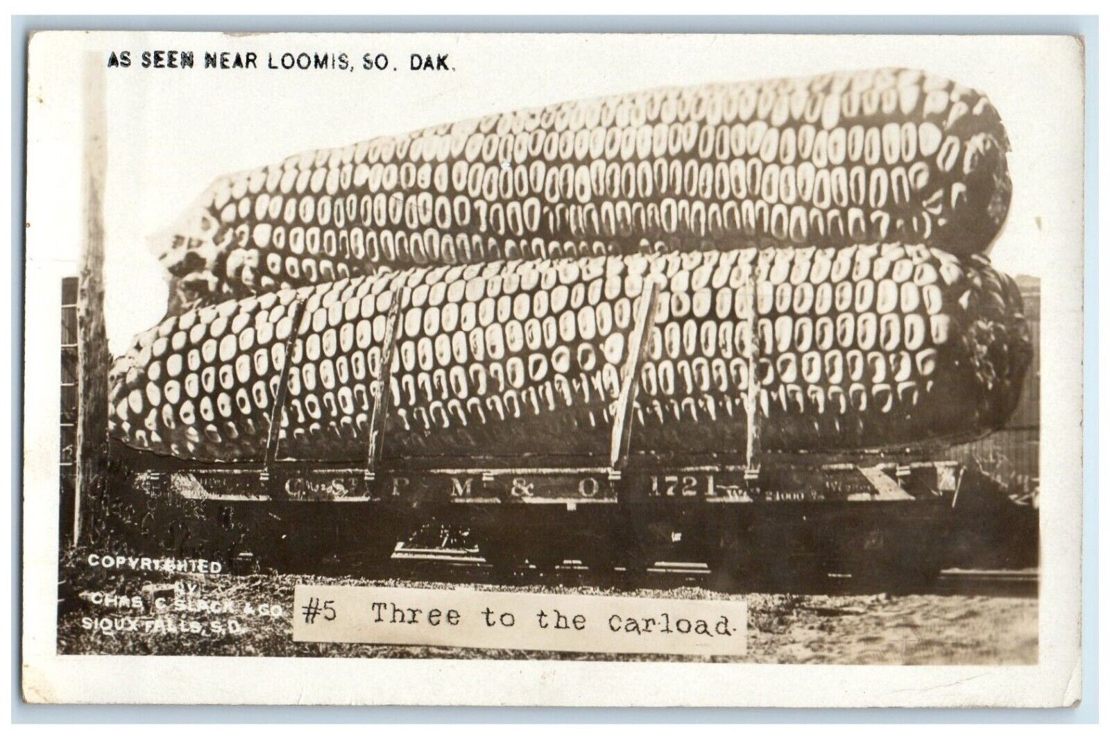 1915 Exaggerated Corn Three To The Carload Loomis SD RPPC Photo Antique Postcard