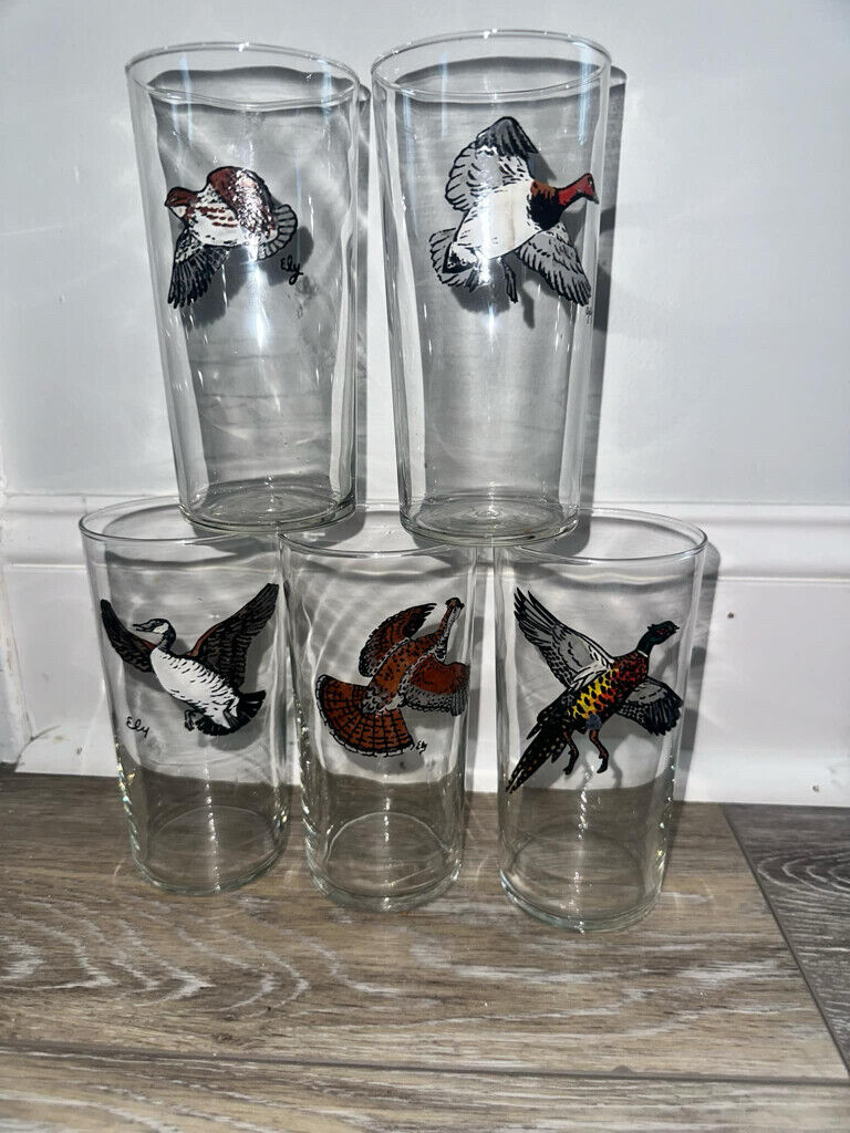 Vintage Fowl Duck Goose quail Hunting High Ball Glasses Cabin Decor X5 Ely