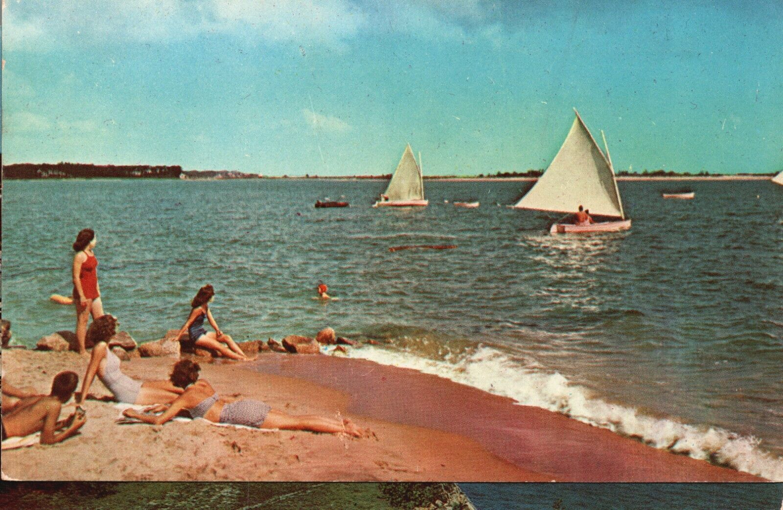 Jacksonville FL-Florida, Sailing Along the Shore Greetings Vintage Postcard