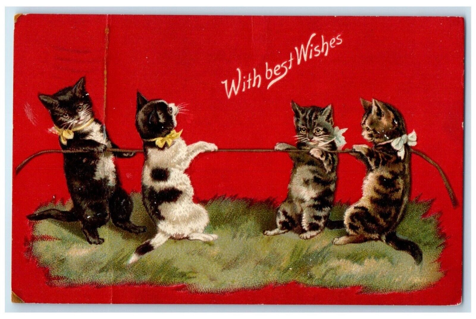 1910 Best Wishes Cat Kittens Rope Nash Salem Massachusetts MA Antique Postcard