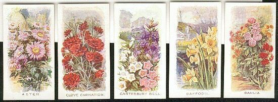 CIGARETTE CARDS. Abdulla Tobacco. OLD FAVOURITES.( FLOWERS). (1936). (Full Set).