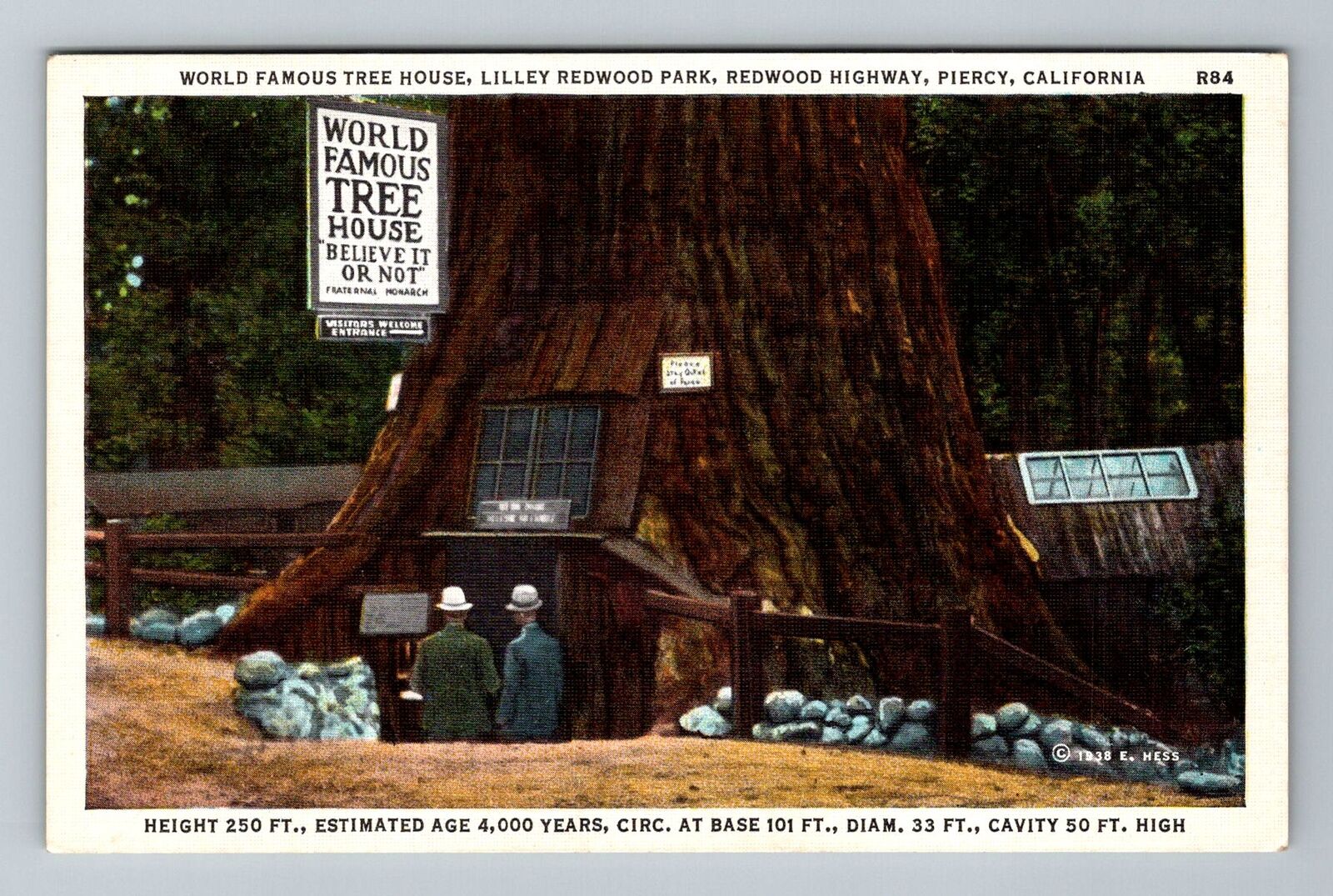 Piercy CA-California Famous Redwood Park Treehouse Gents Vintage Postcard