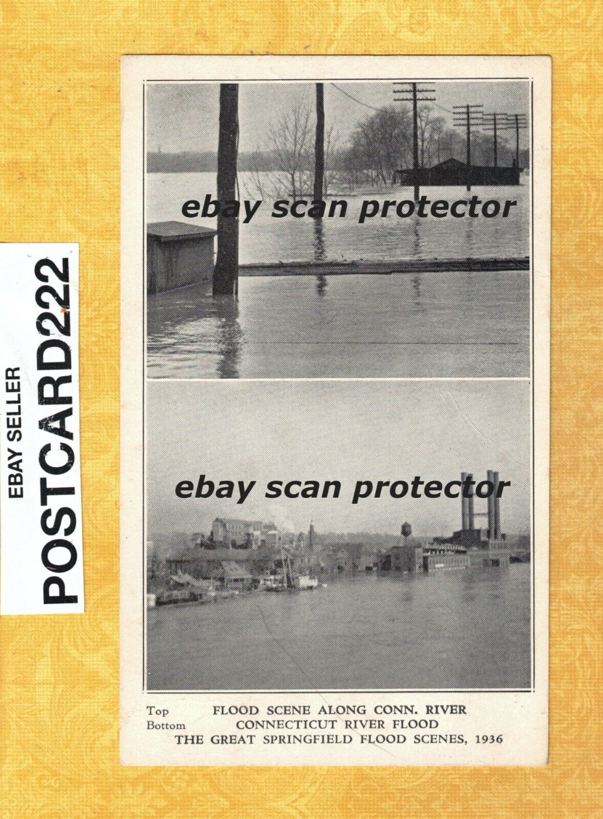 MA Springfield 1936 vintage postcard FLOOD buildings along conn river Mass