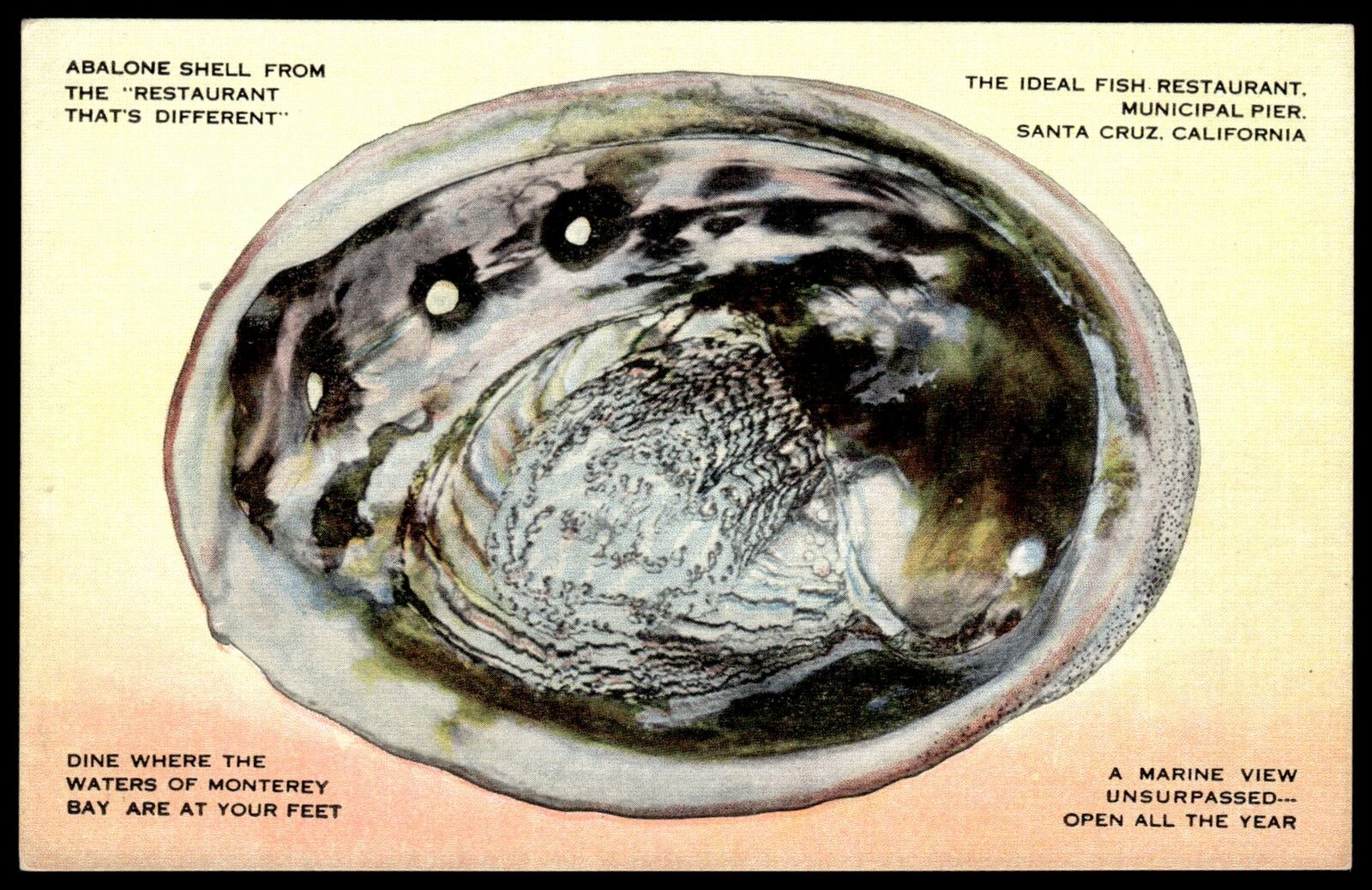1930 Postcard c1940s The Ideal Fish Restaurant Abalone Shell Santa Cruz