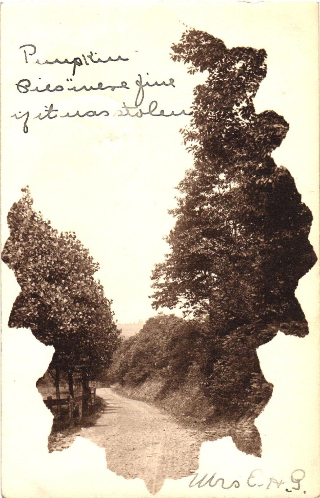 A Picturesque Road Scene With Beautiful Trees Postcard