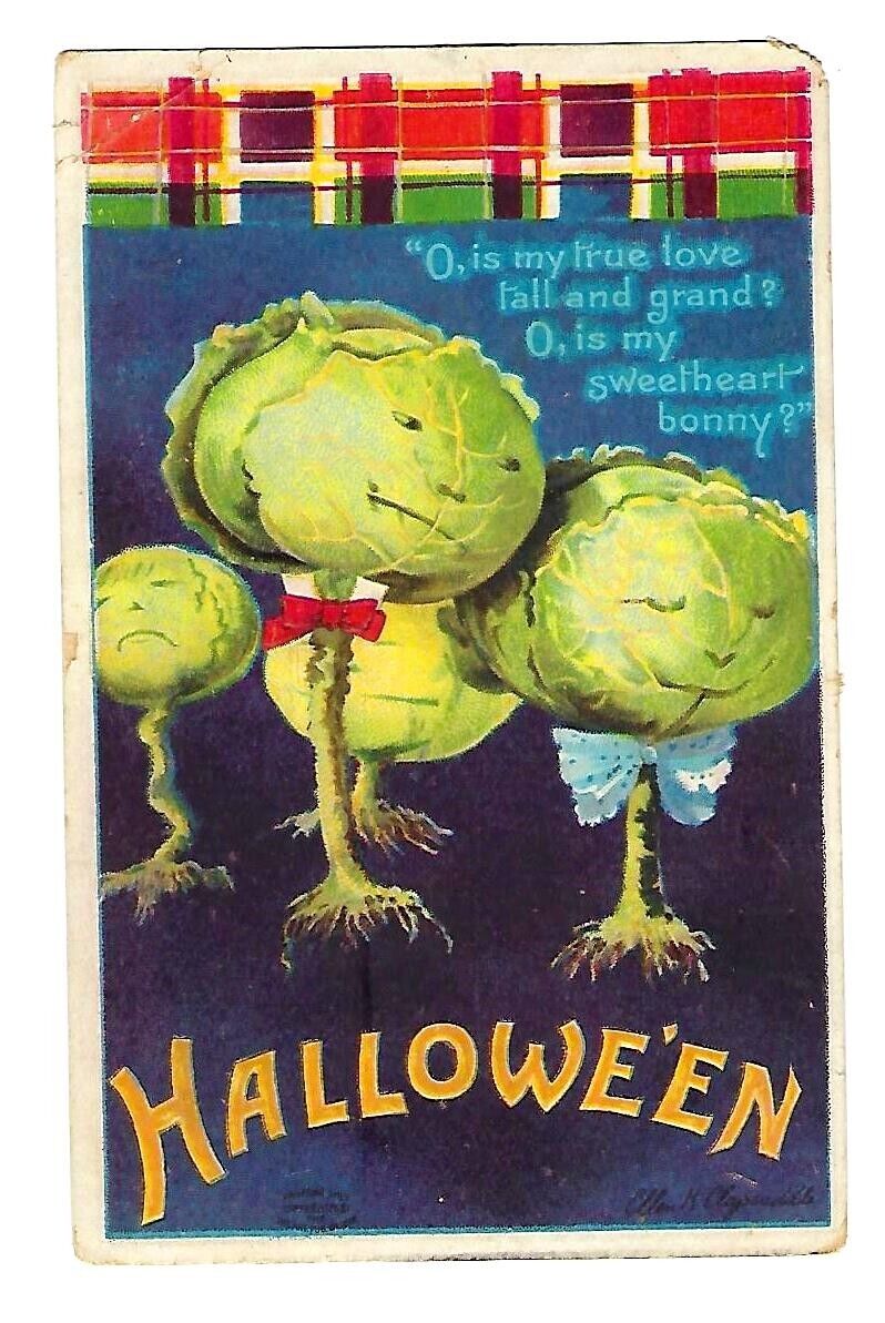c1911 Singed Clapsaddle Halloween Postcard Cabbage Heads