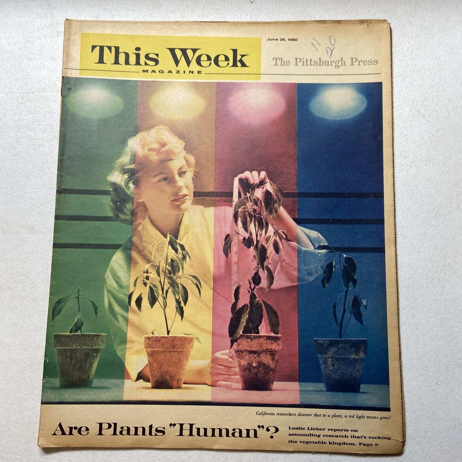 THIS WEEK Magazine - June 25, 1960 - Are Plants Human, Tammy Grimes, Vtg Chev Ad