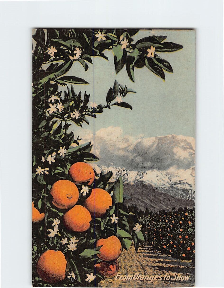 Postcard From Oranges to Snow