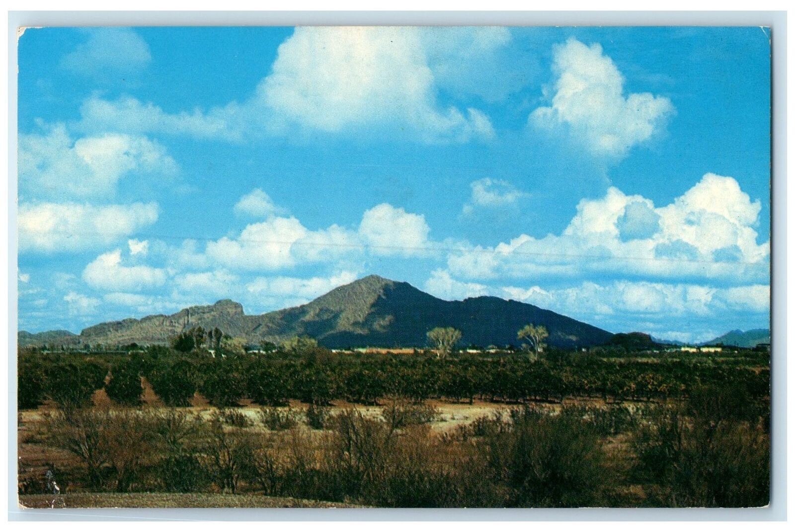 c1950's Camelback Mountain Sun Drenched Desert View Phoenix Arizona AZ Postcard