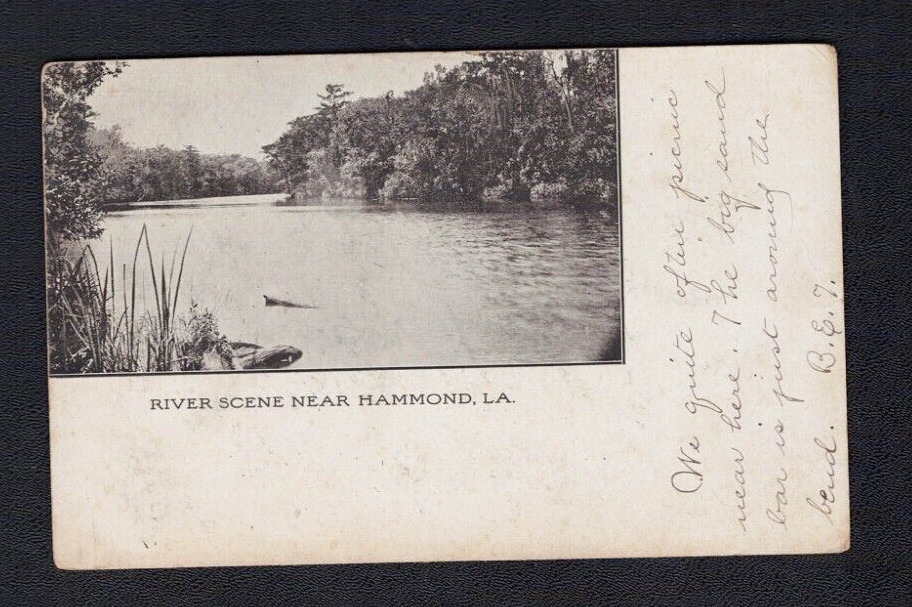 Hammond LA Louisiana River Scene Vintage Tangipahoa Parish Postcard