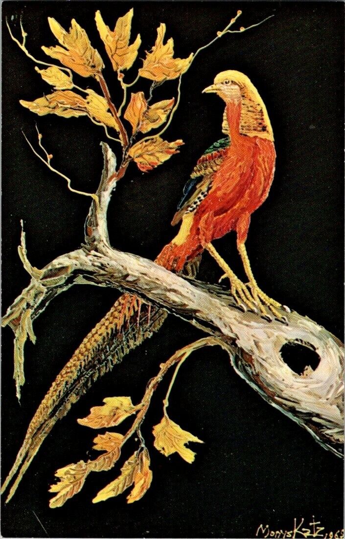 Beautiful Golden Pheasant Morris Katz postcard a28