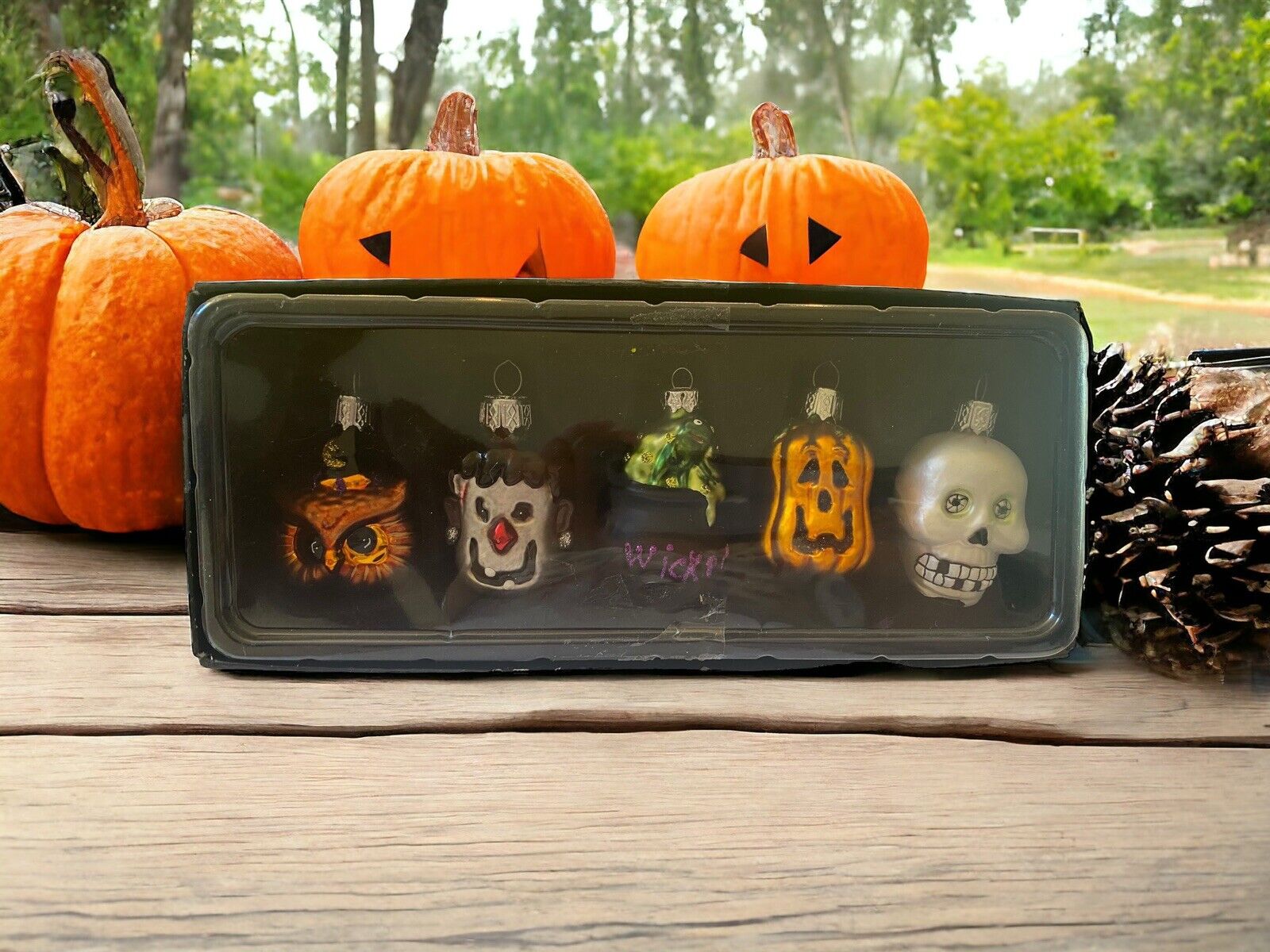 Pier 1 Imports Halloween Set Of 5 Glass Ornaments Owl Pumpkin Skeleton Witches..