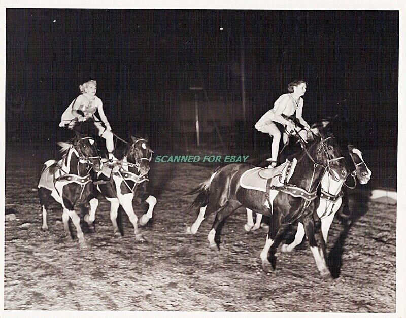 Ringling Bros Circus Photo Roman Horse Riders Roland Butler 8x10 Vintage