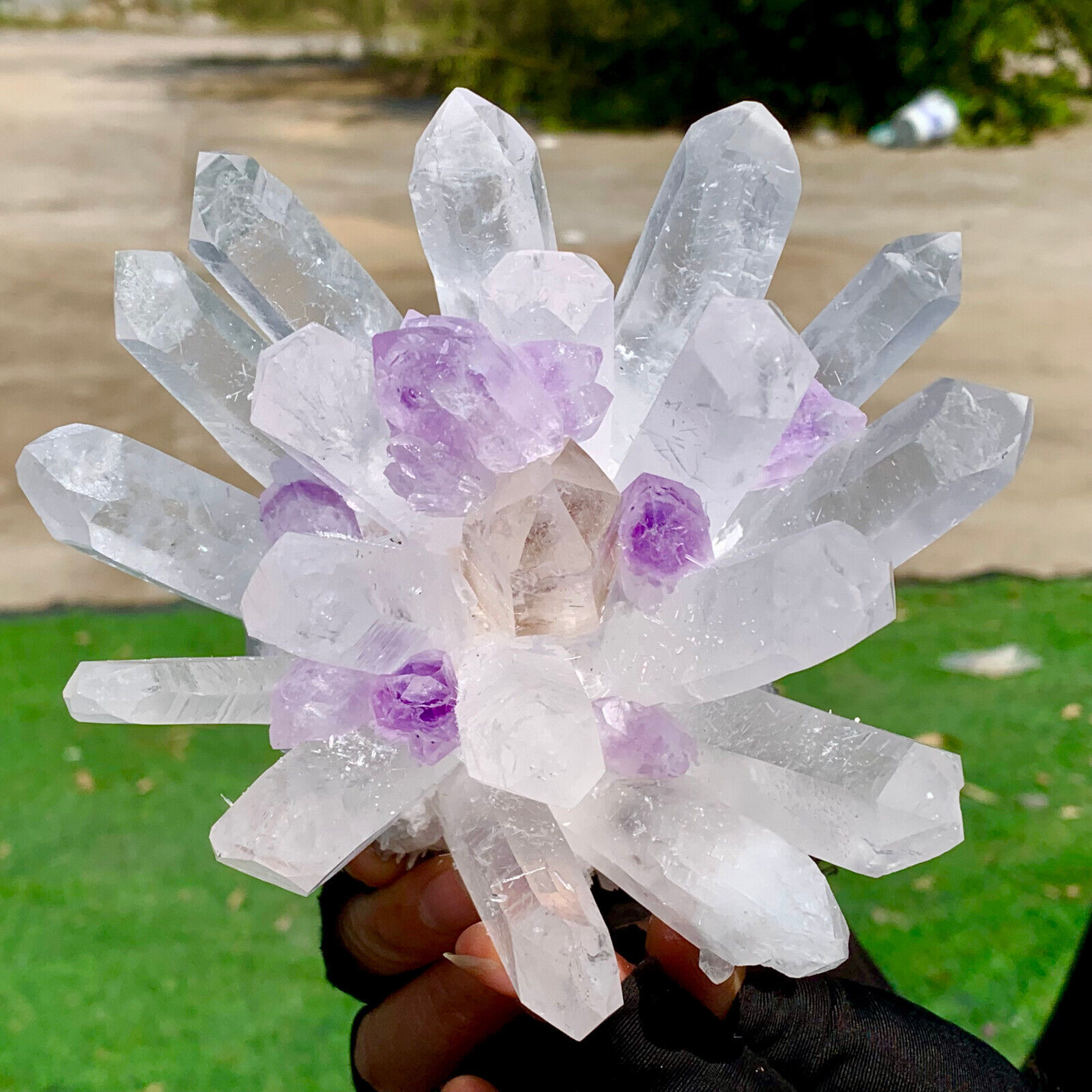 2.34LB New Find white+purple PhantomQuartz Crystal Cluster MineralSpecimen