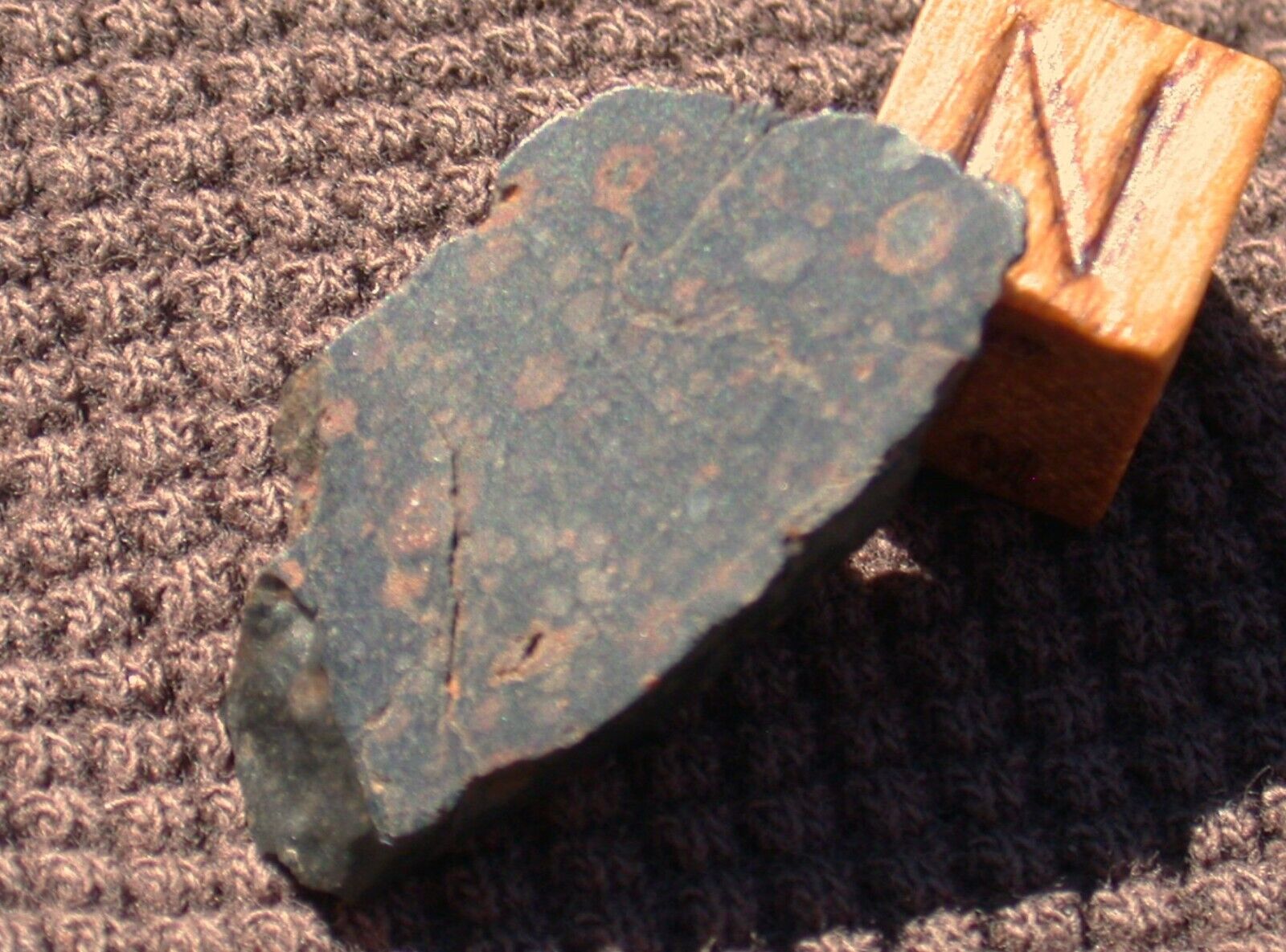 Nice NWA 4502 meteorite slice (CV3) - 2.63 g  Sweet 